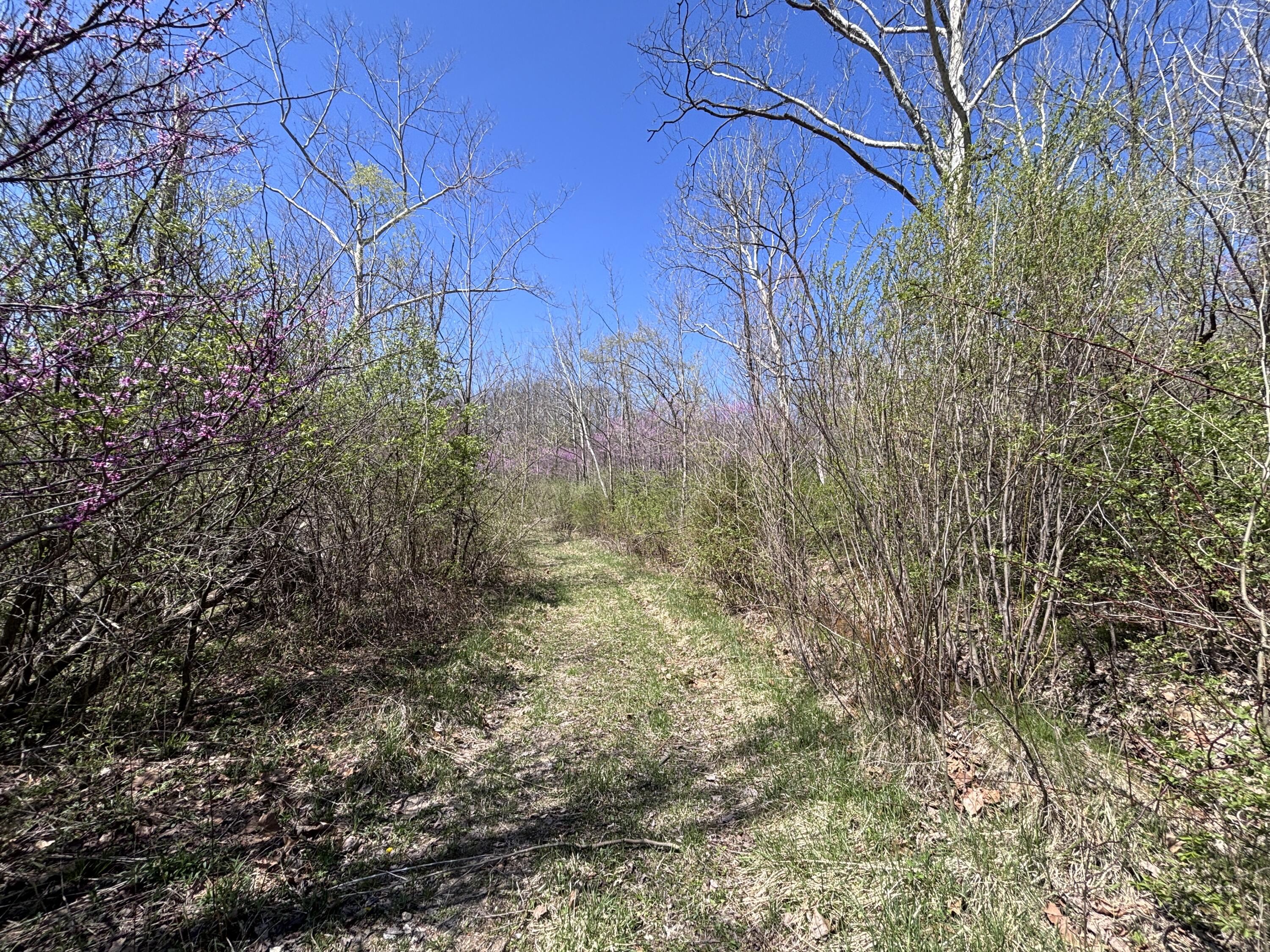 121 State, New Paris, Ohio 45347