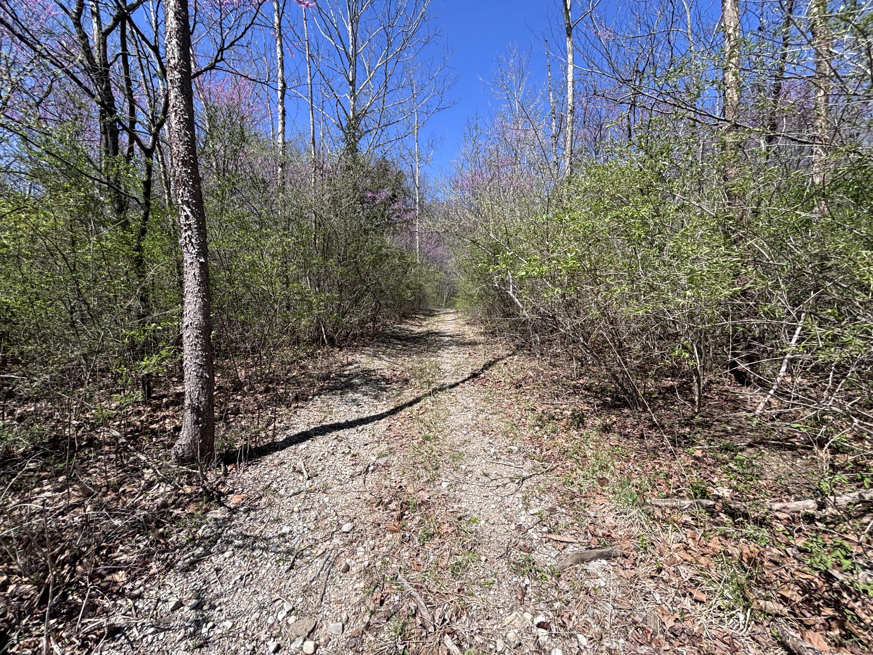 121 State, New Paris, Ohio 45347