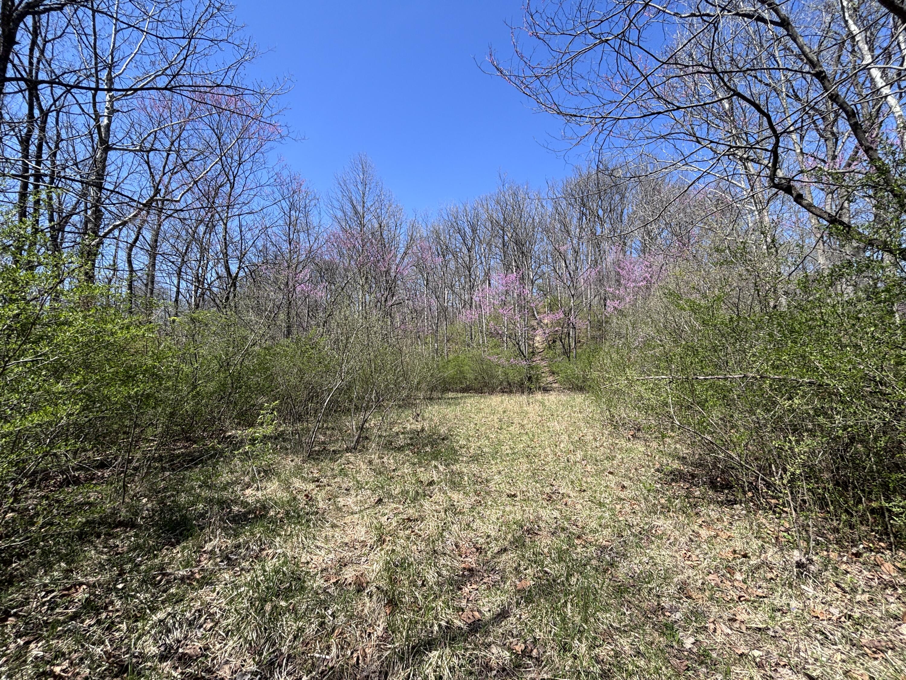 121 State, New Paris, Ohio 45347