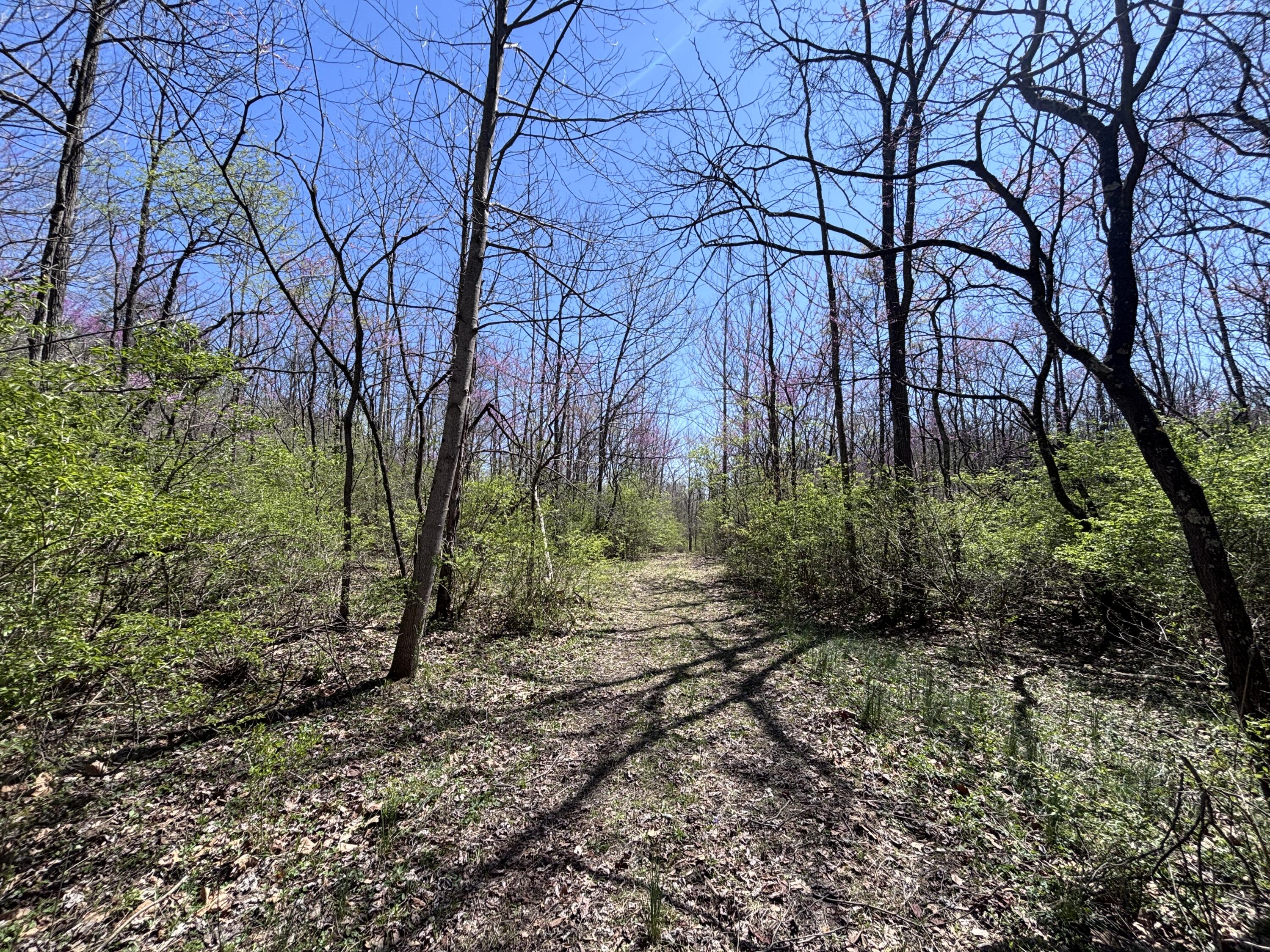 121 State, New Paris, Ohio 45347