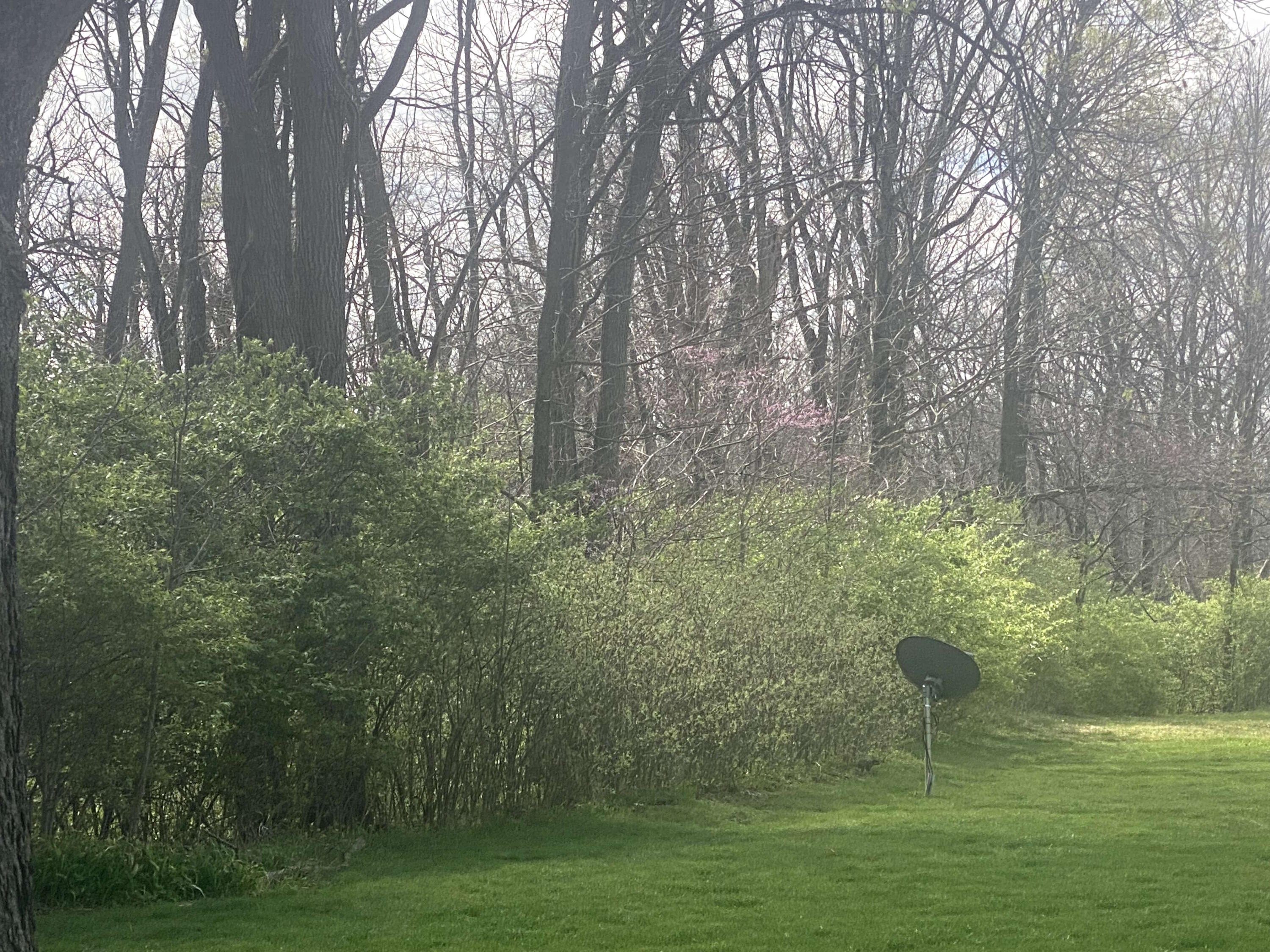 1065 Stewart Road, Pleasant Hill, Ohio 45359