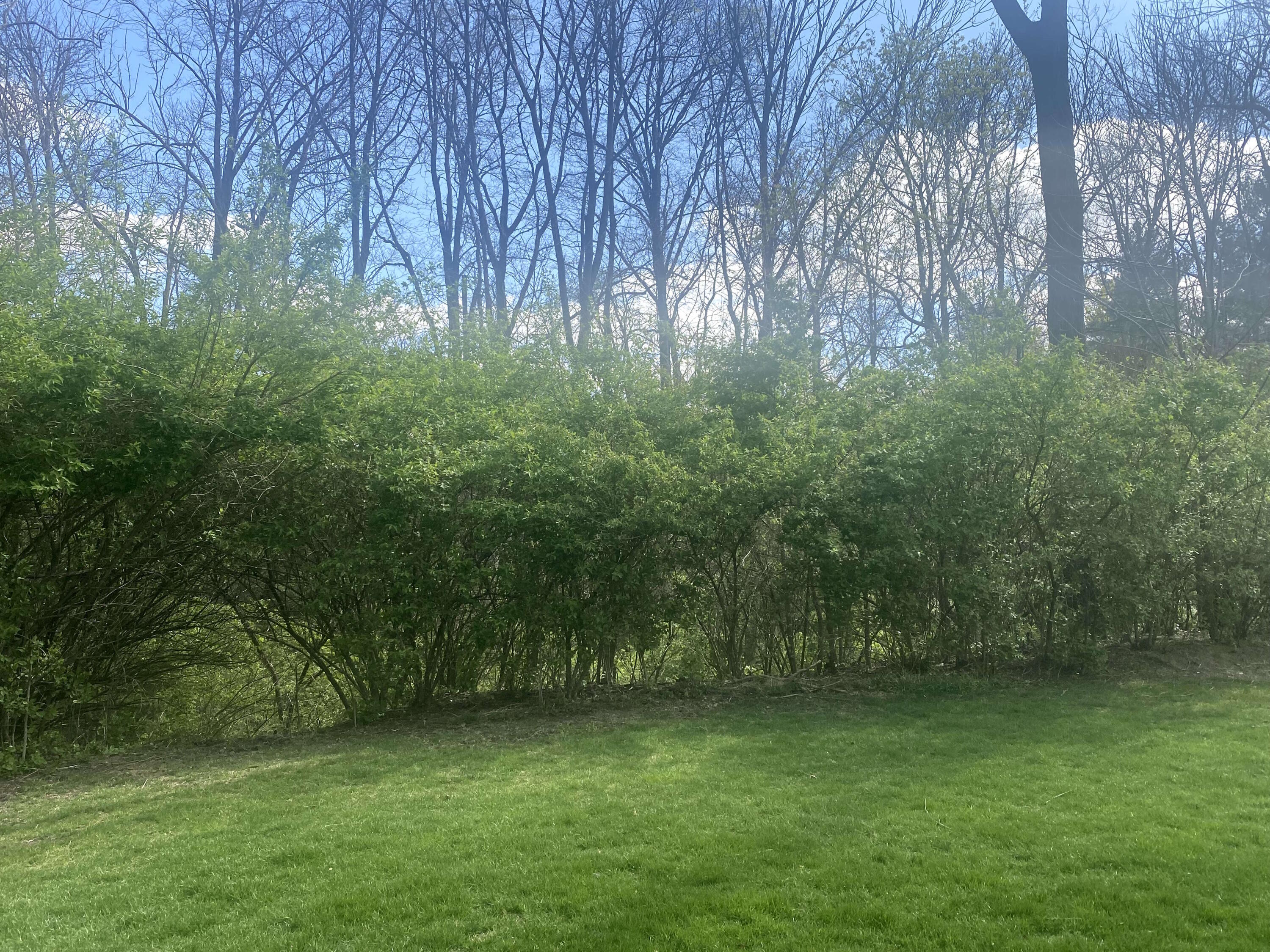 1065 Stewart Road, Pleasant Hill, Ohio 45359