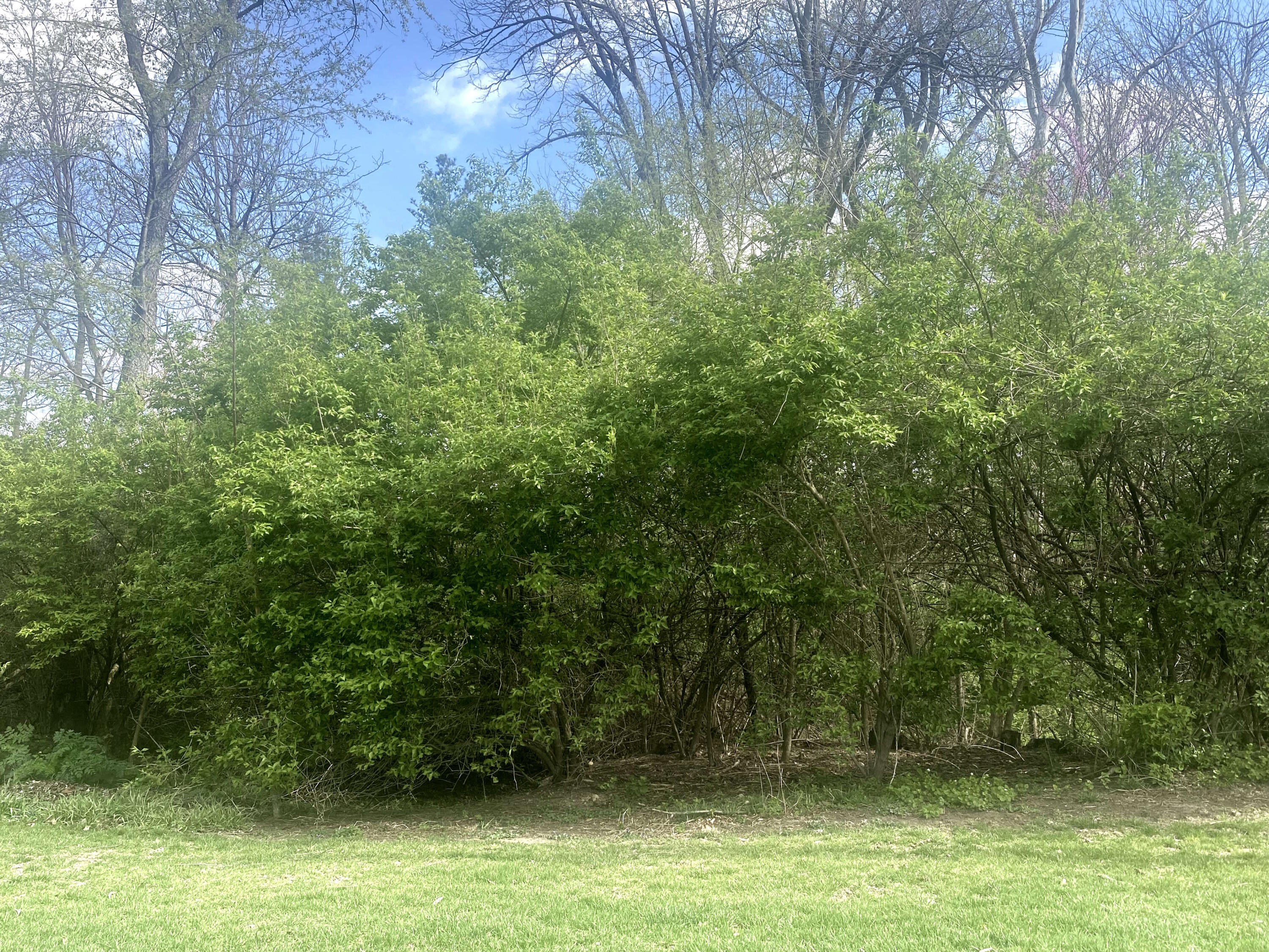 1065 Stewart Road, Pleasant Hill, Ohio 45359