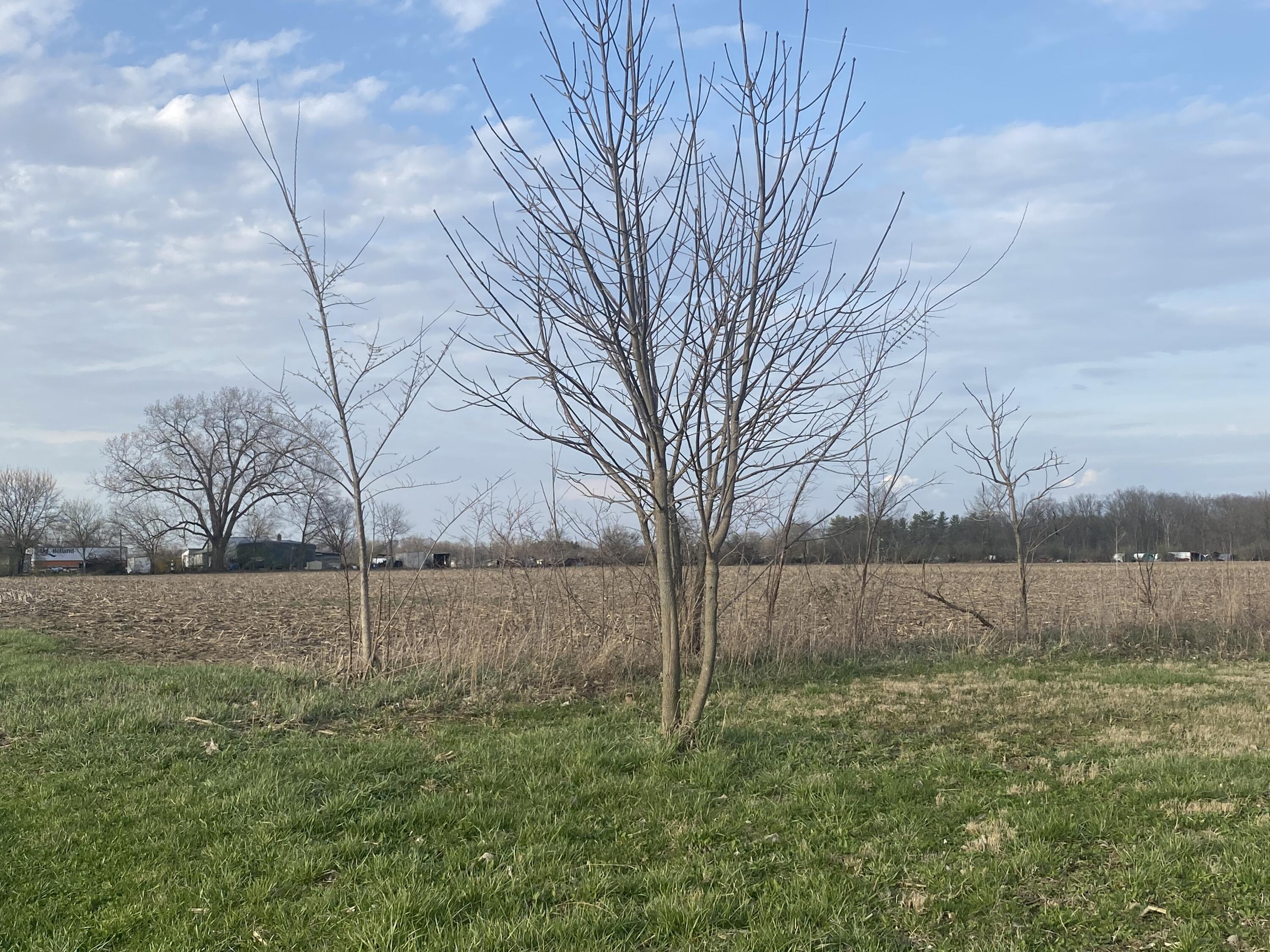 1065 Stewart Road, Pleasant Hill, Ohio 45359