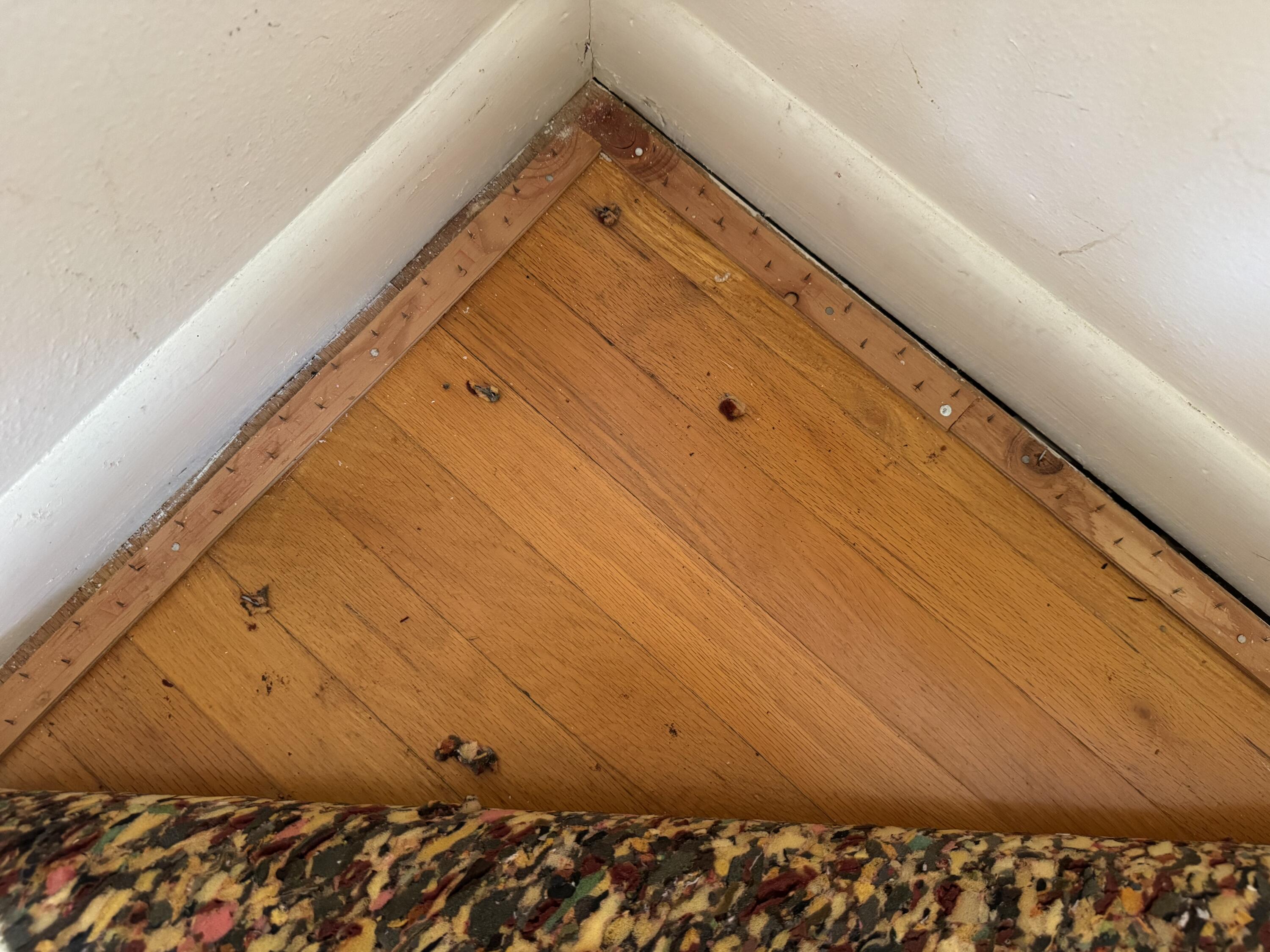 4841 Chippendale Drive, Springfield, Ohio 45503