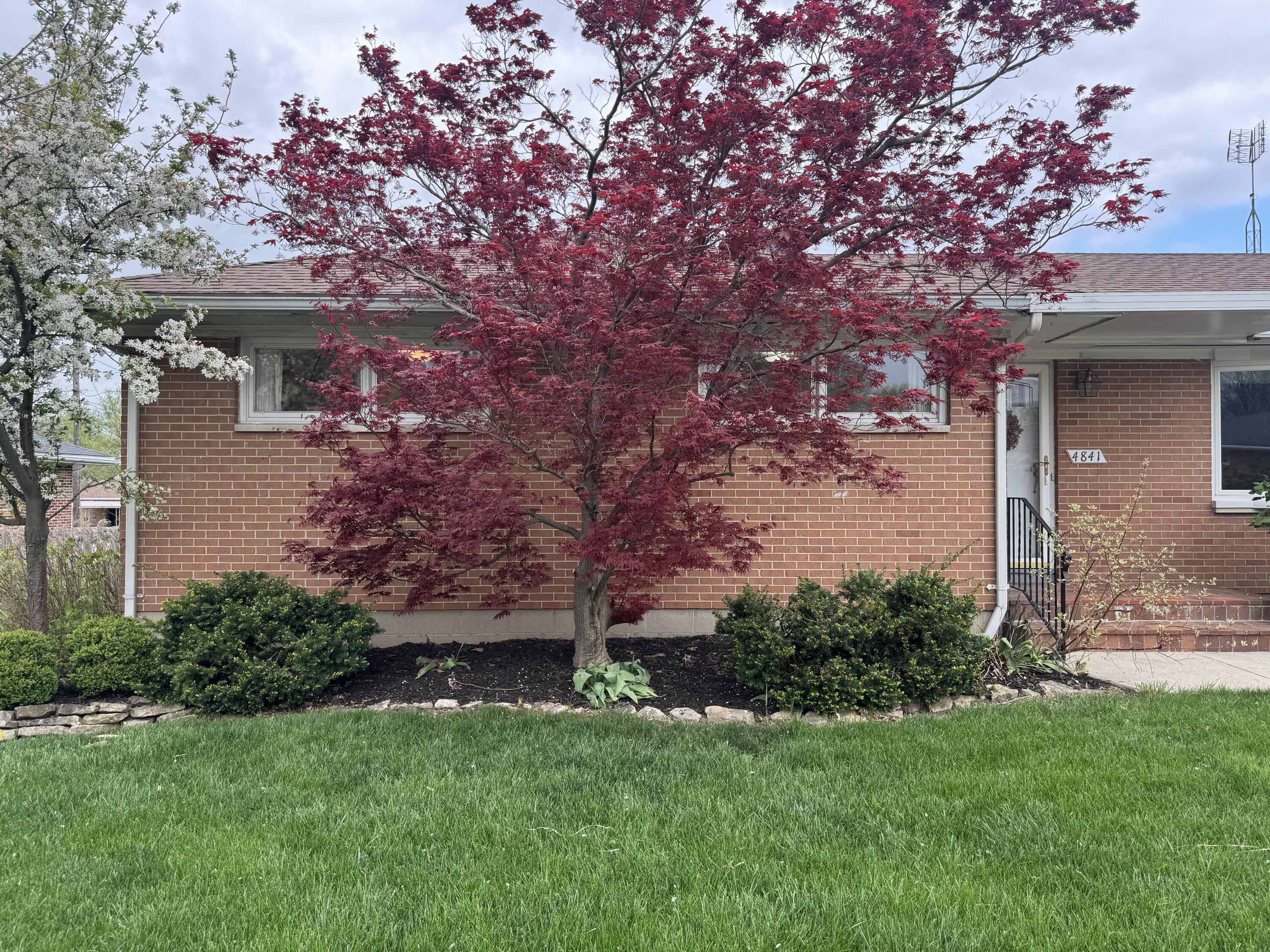 4841 Chippendale Drive, Springfield, Ohio 45503