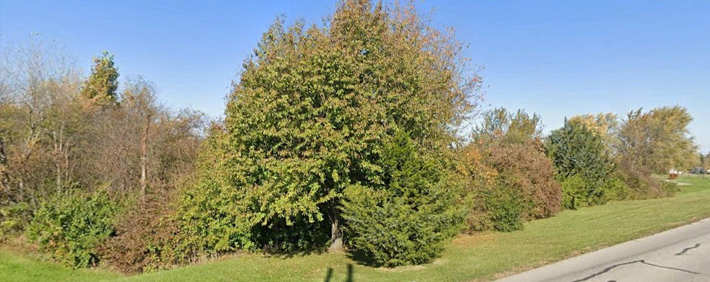 0 Brentlinger Rd., Harrod, OH--13.23 acres Allen Co--$132,500