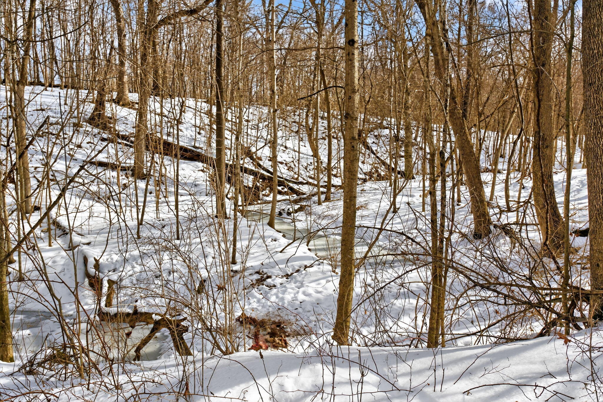 0 Twp Rd 55, Bellefontaine, Ohio 43311