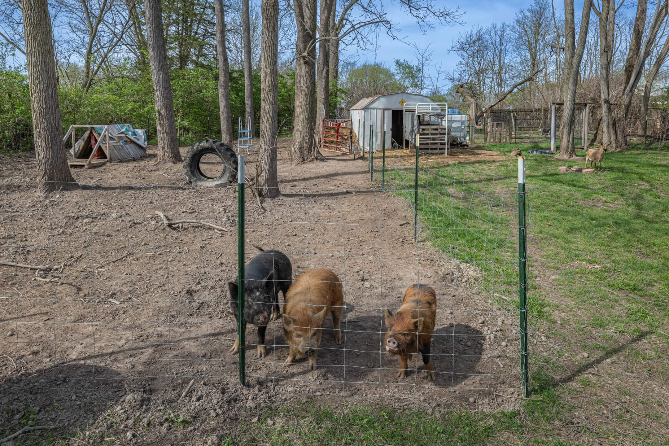 5654 National Road, Springfield, Ohio 45504