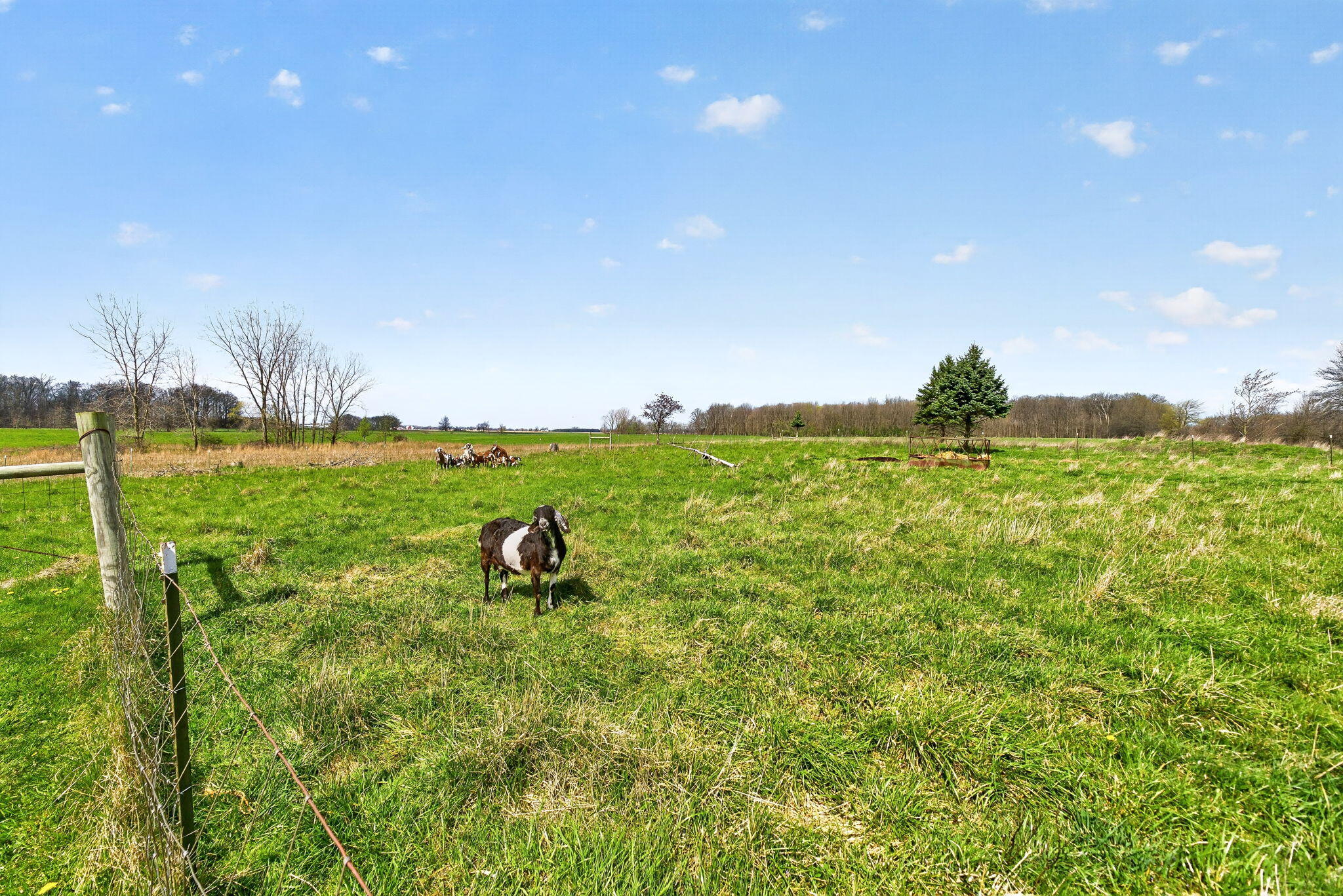 20240 County Road 340, Mount Victory, Ohio 43340