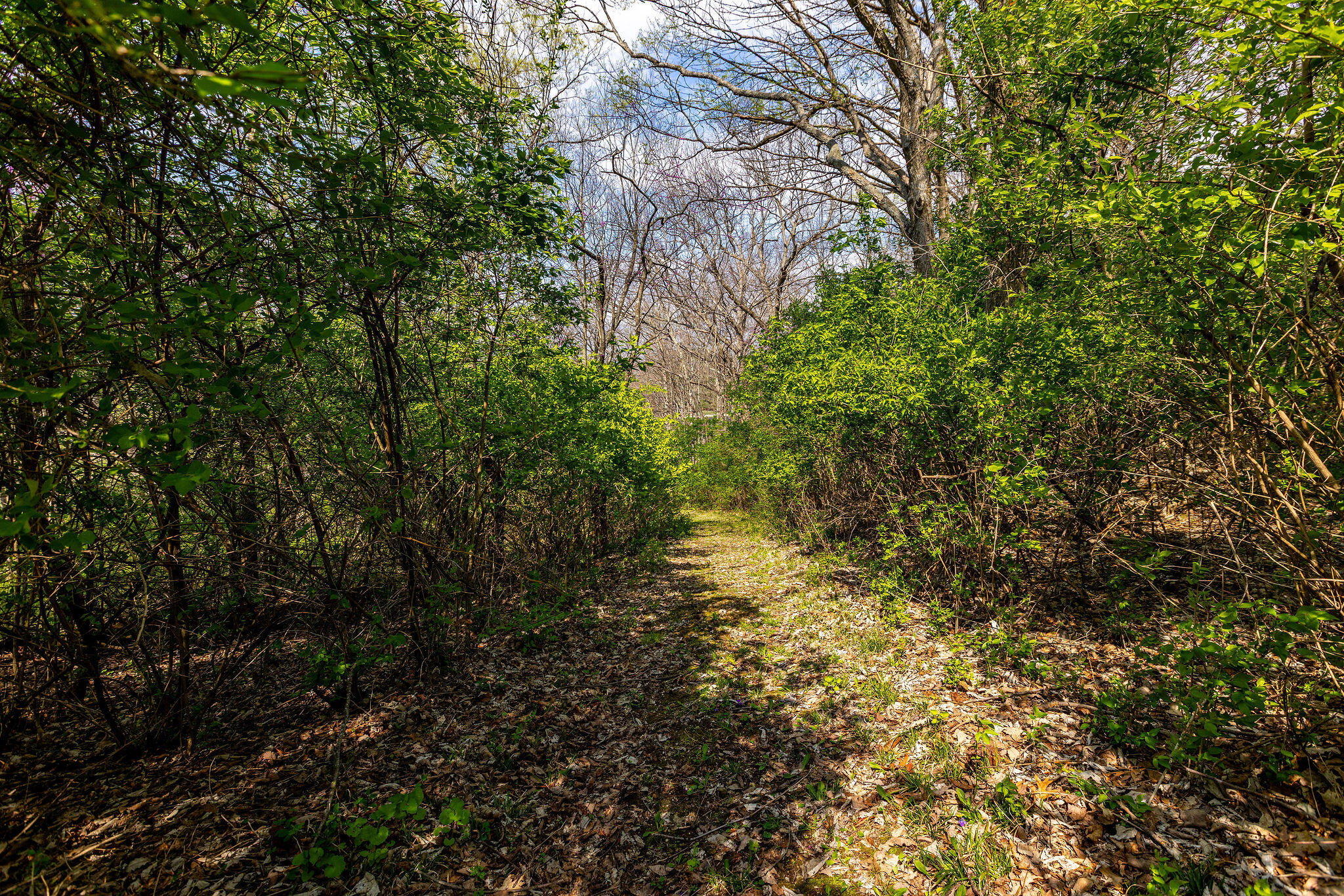 5490 Dayton Brandt Road, New Carlisle, Ohio 45344