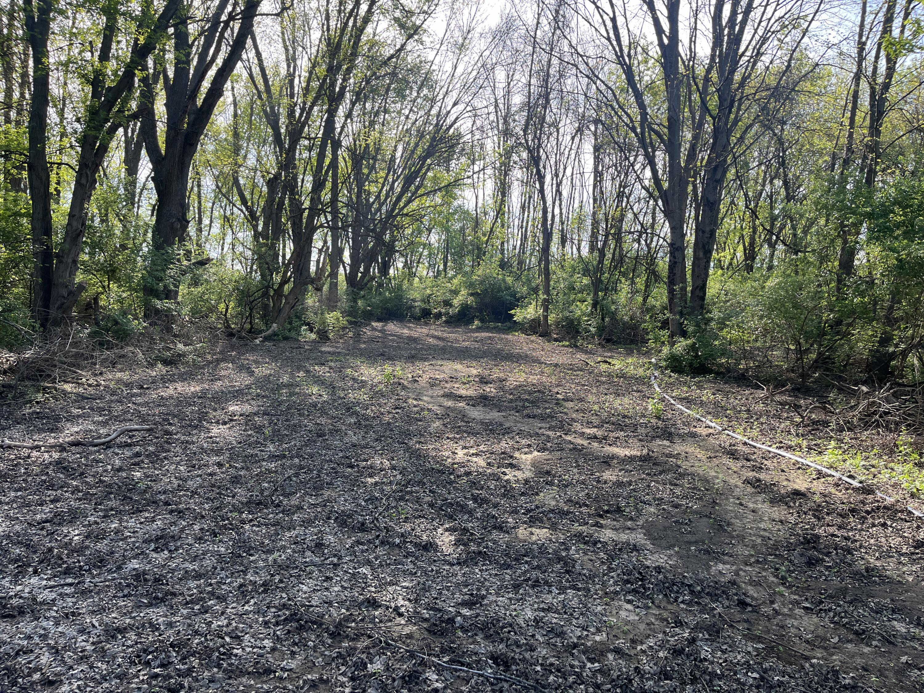 4004 Sintz Road, Springfield, Ohio 45504