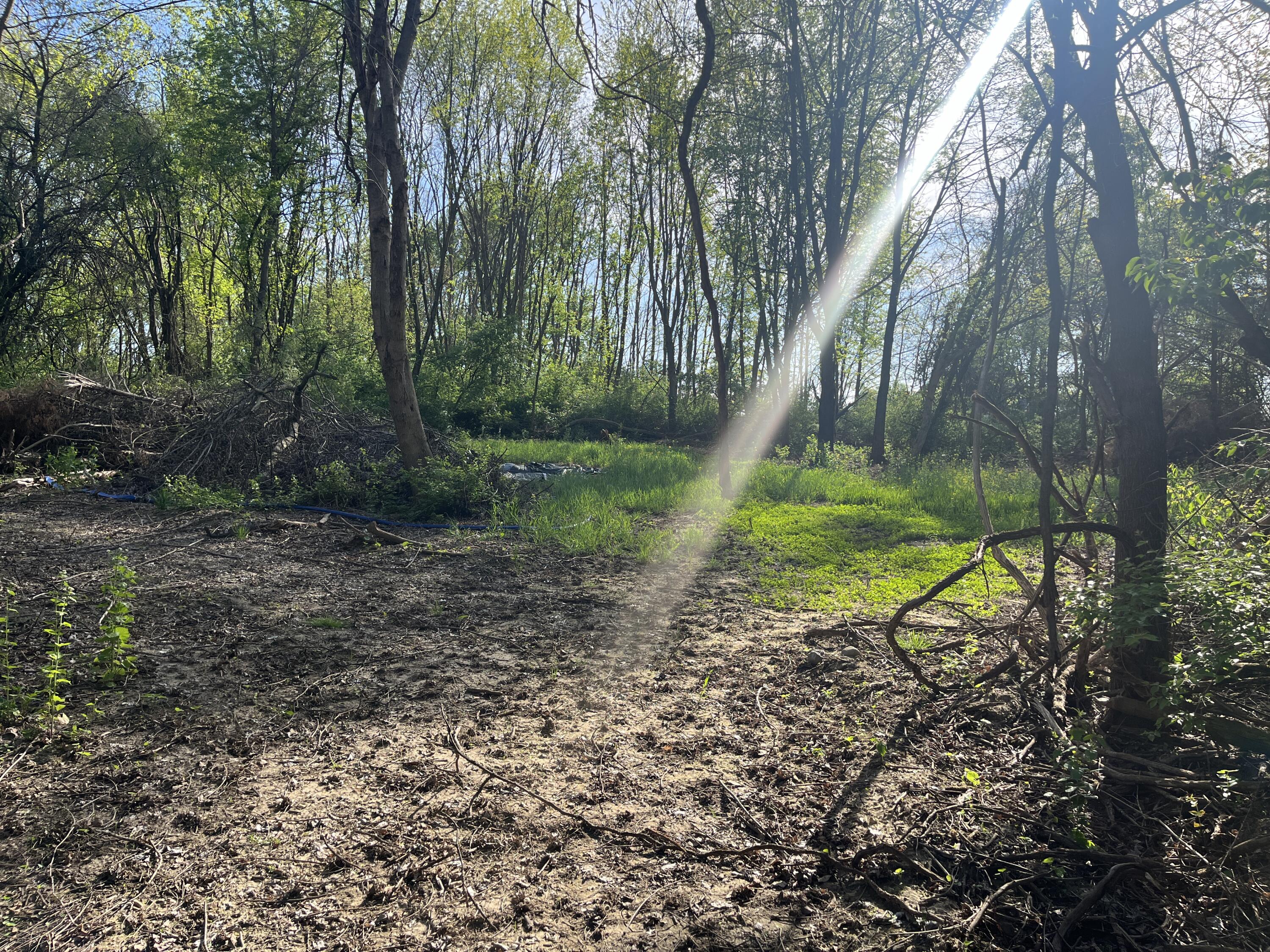 4004 Sintz Road, Springfield, Ohio 45504