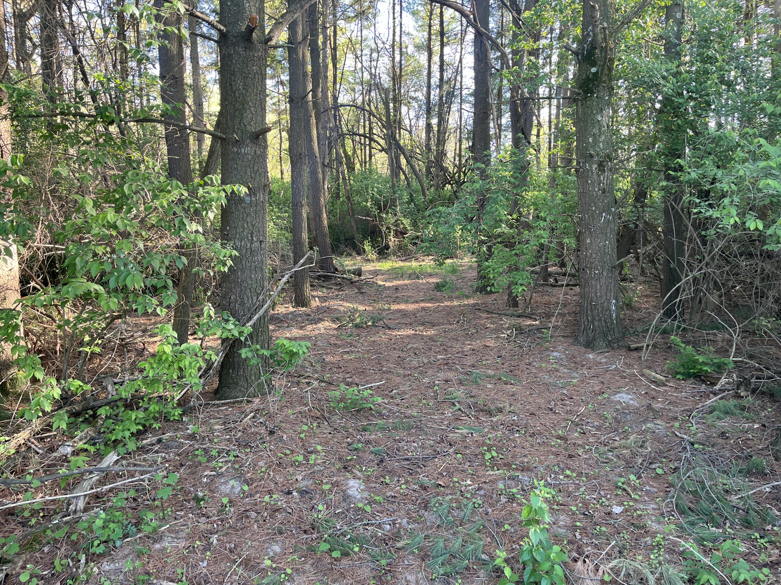 4004 Sintz Road, Springfield, Ohio 45504