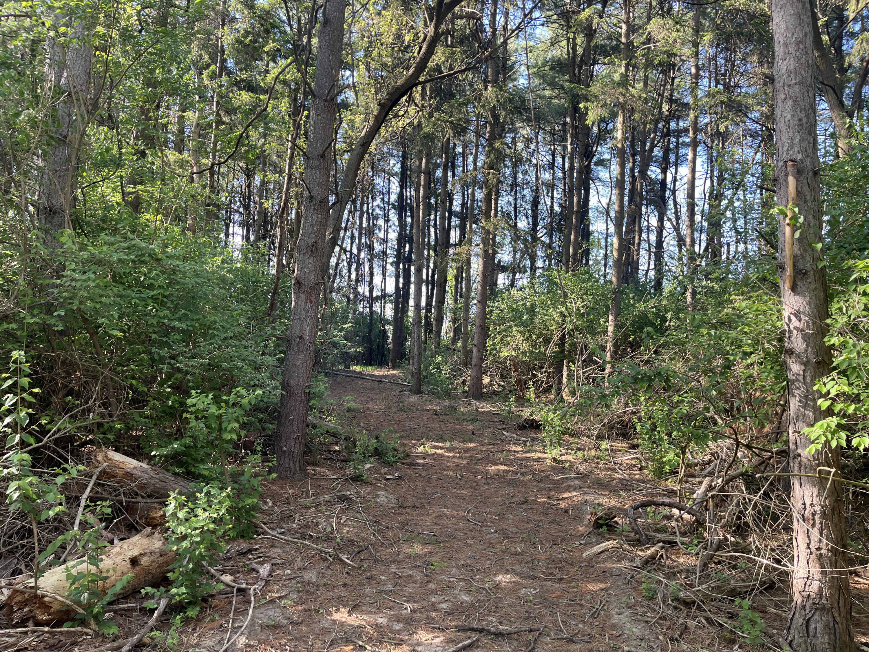 4004 Sintz Road, Springfield, Ohio 45504