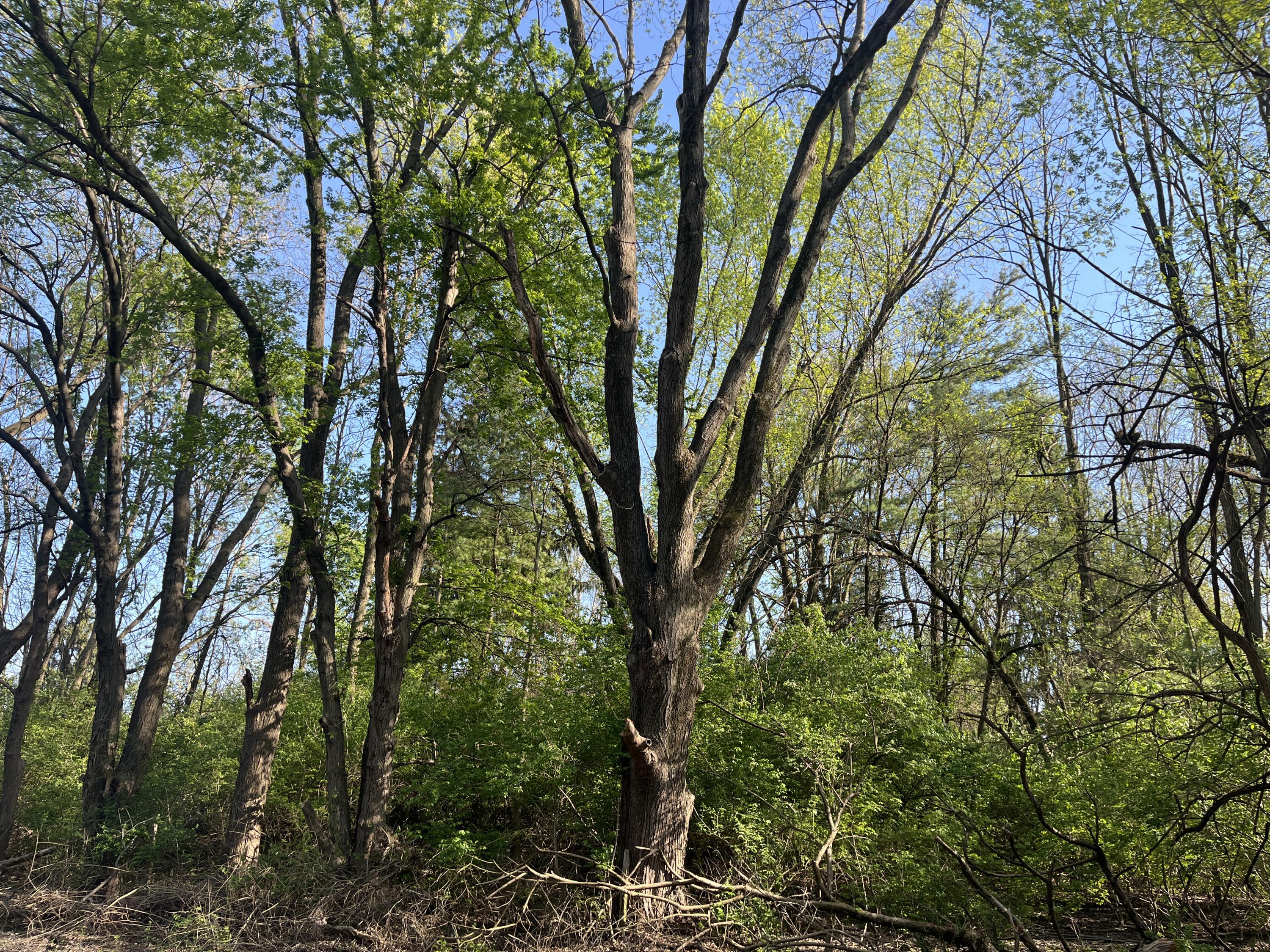 4004 Sintz Road, Springfield, Ohio 45504