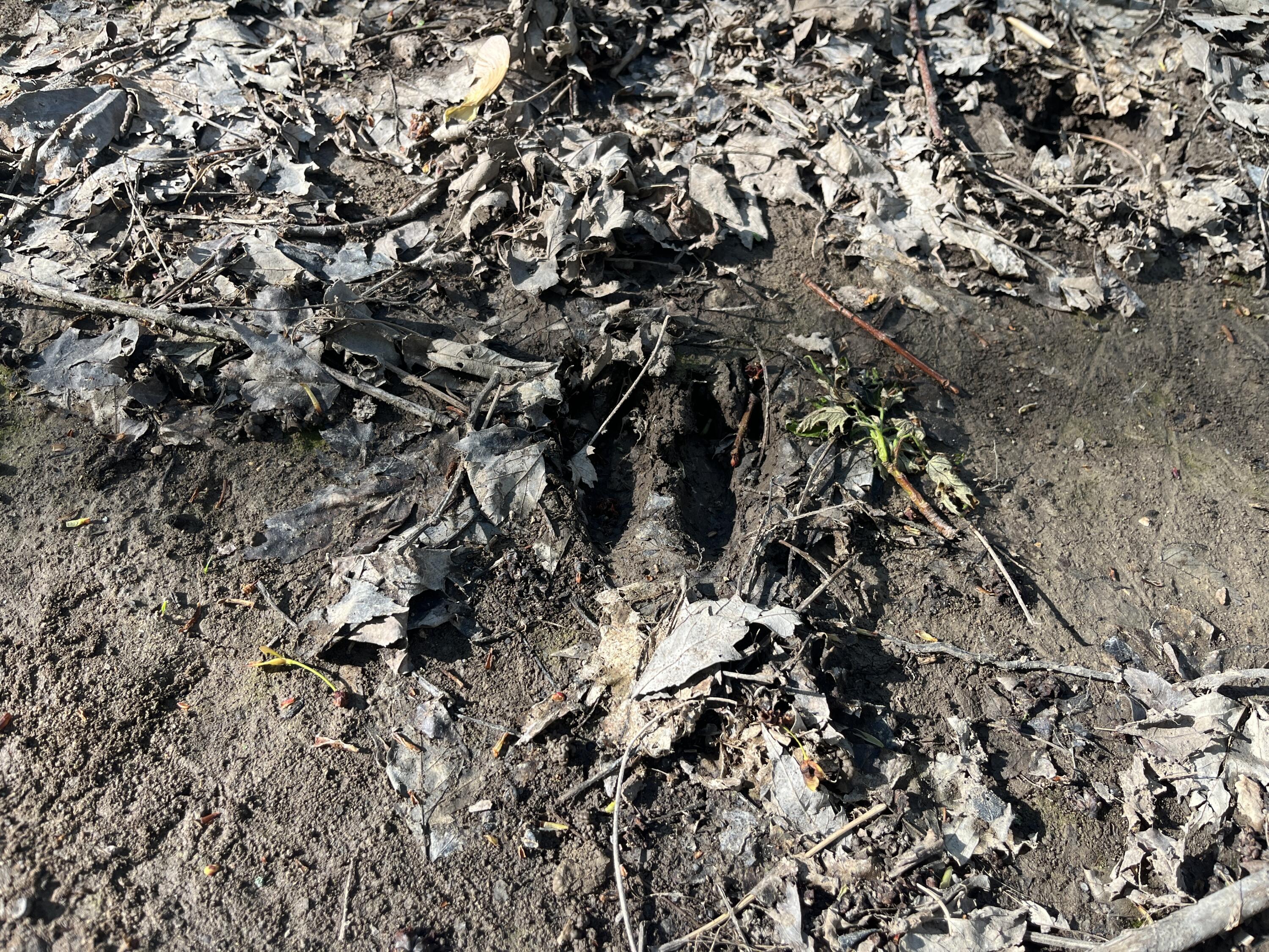 4004 Sintz Road, Springfield, Ohio 45504