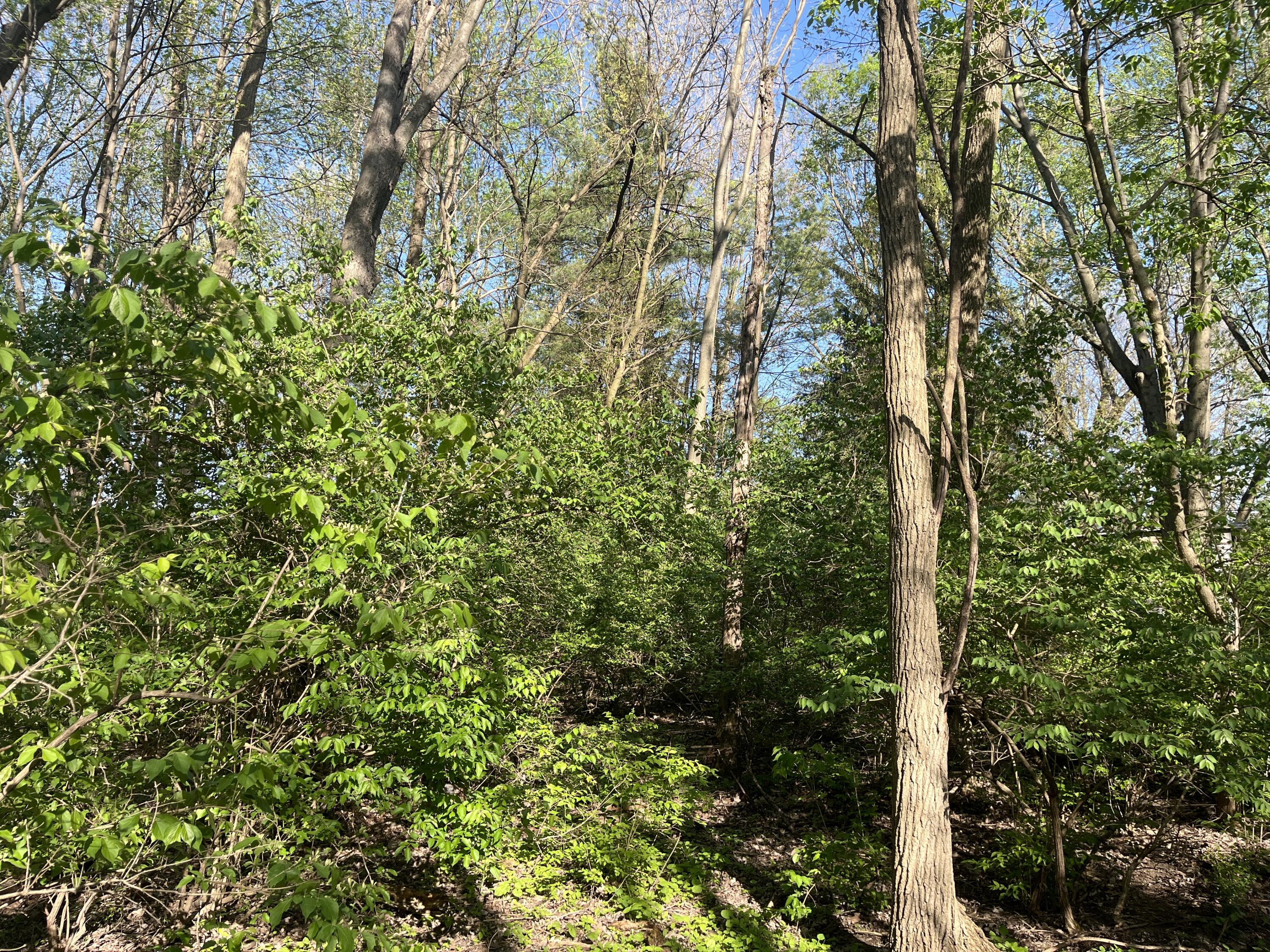 4004 Sintz Road, Springfield, Ohio 45504