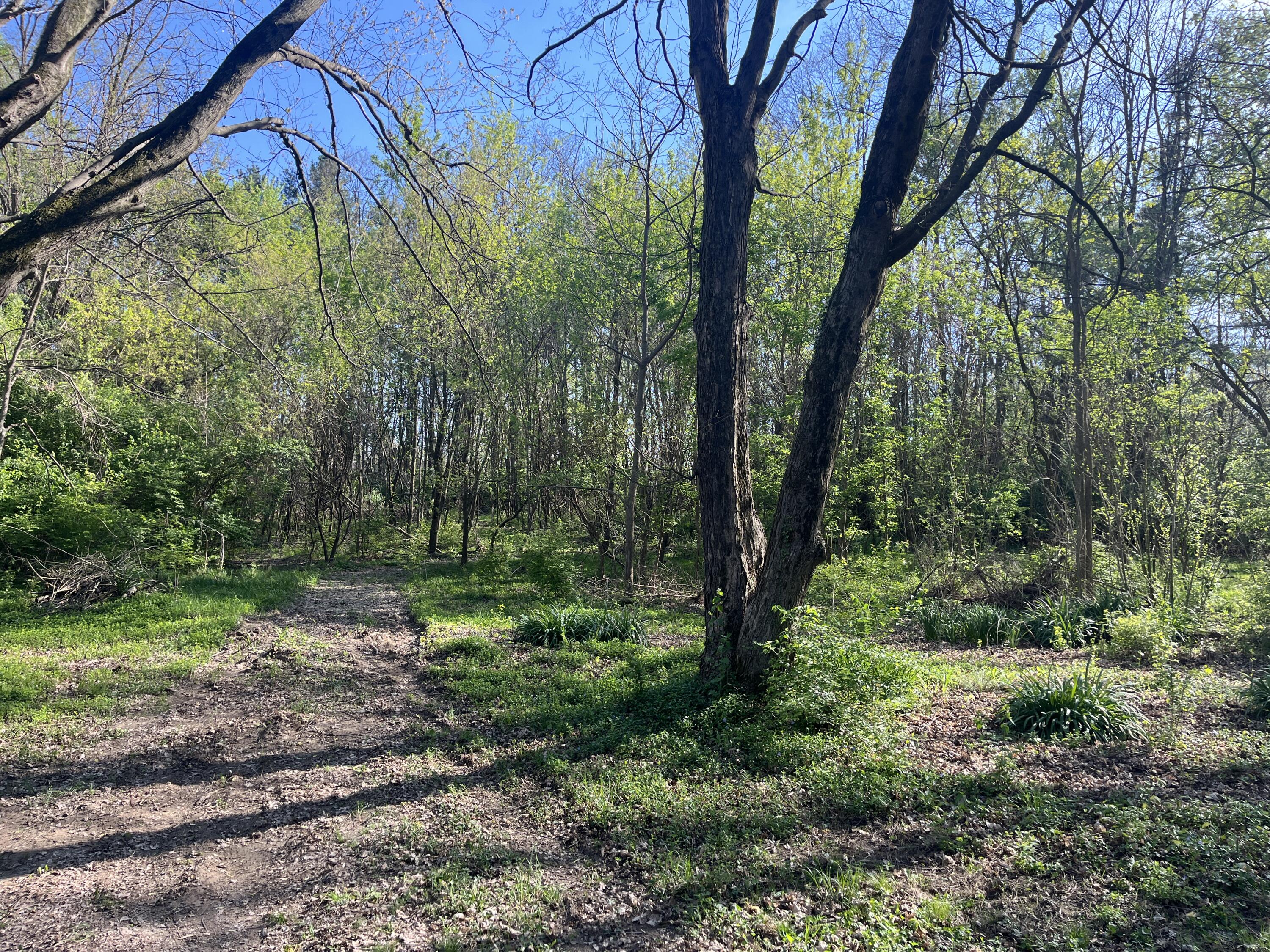 4004 Sintz Road, Springfield, Ohio 45504