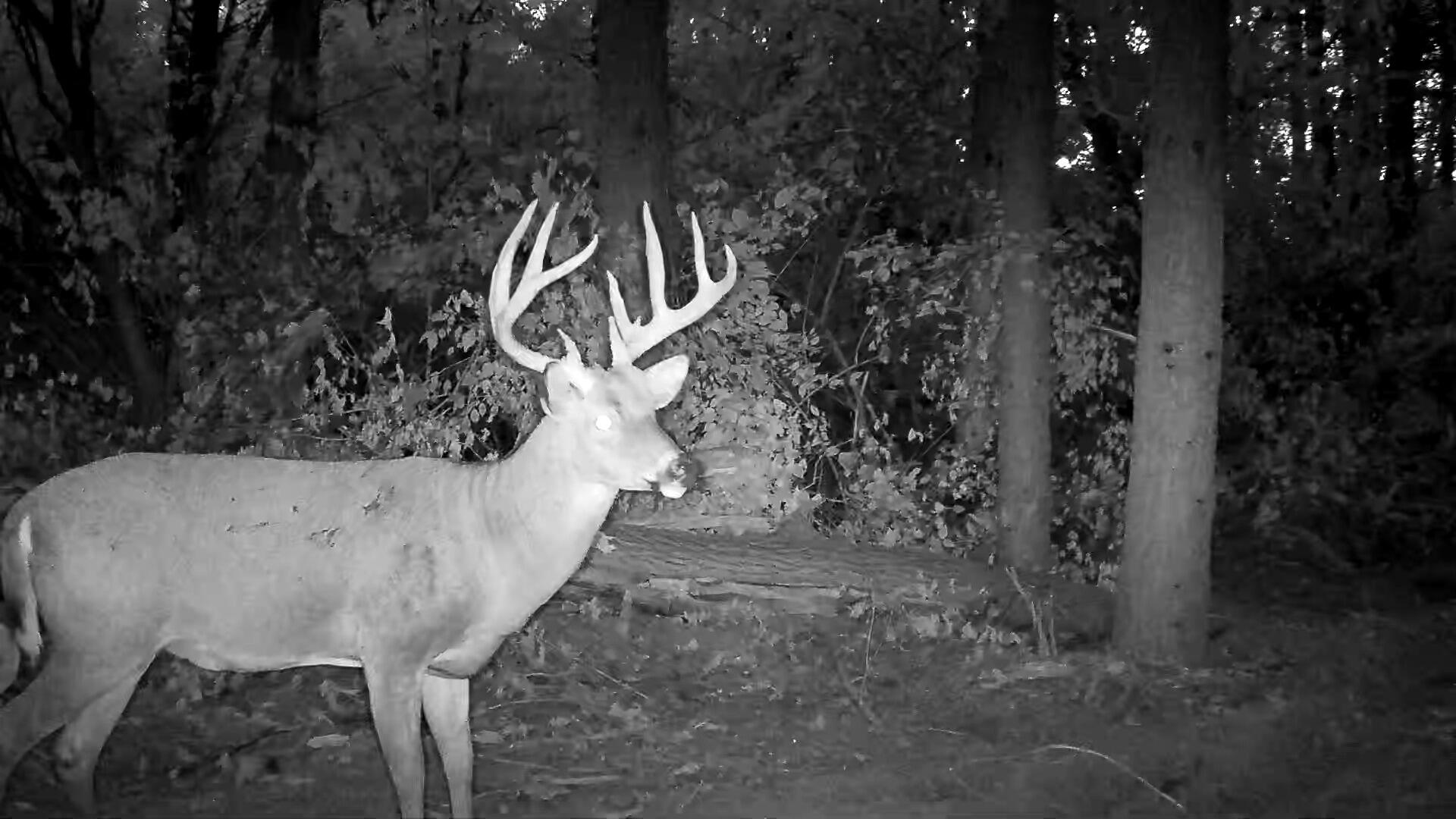 4004 Sintz Road, Springfield, Ohio 45504