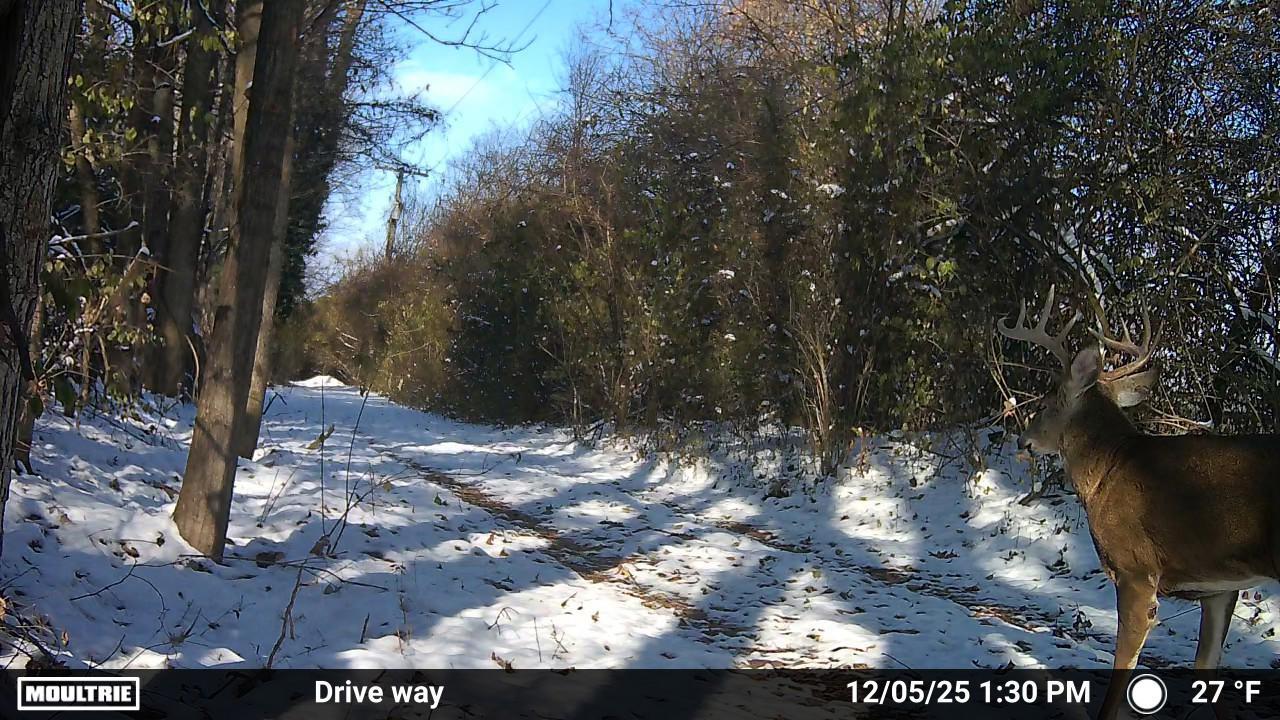 4004 Sintz Road, Springfield, Ohio 45504