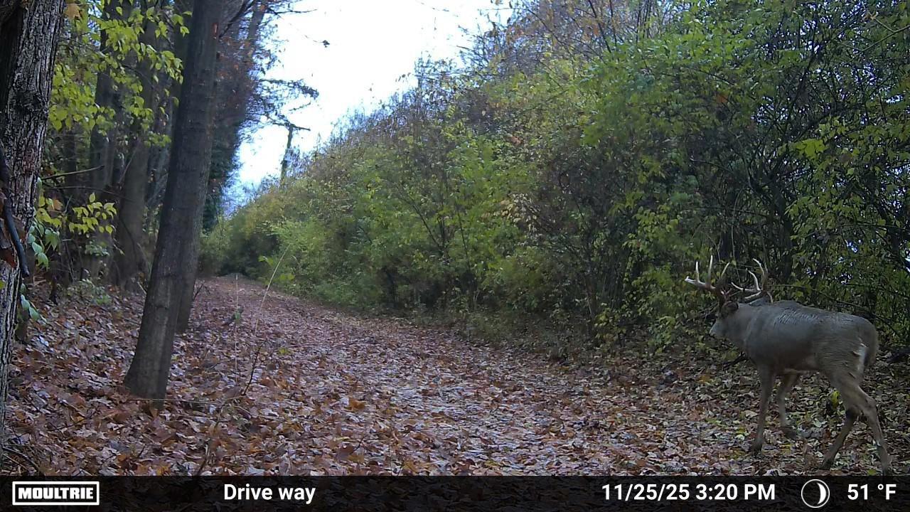 4004 Sintz Road, Springfield, Ohio 45504