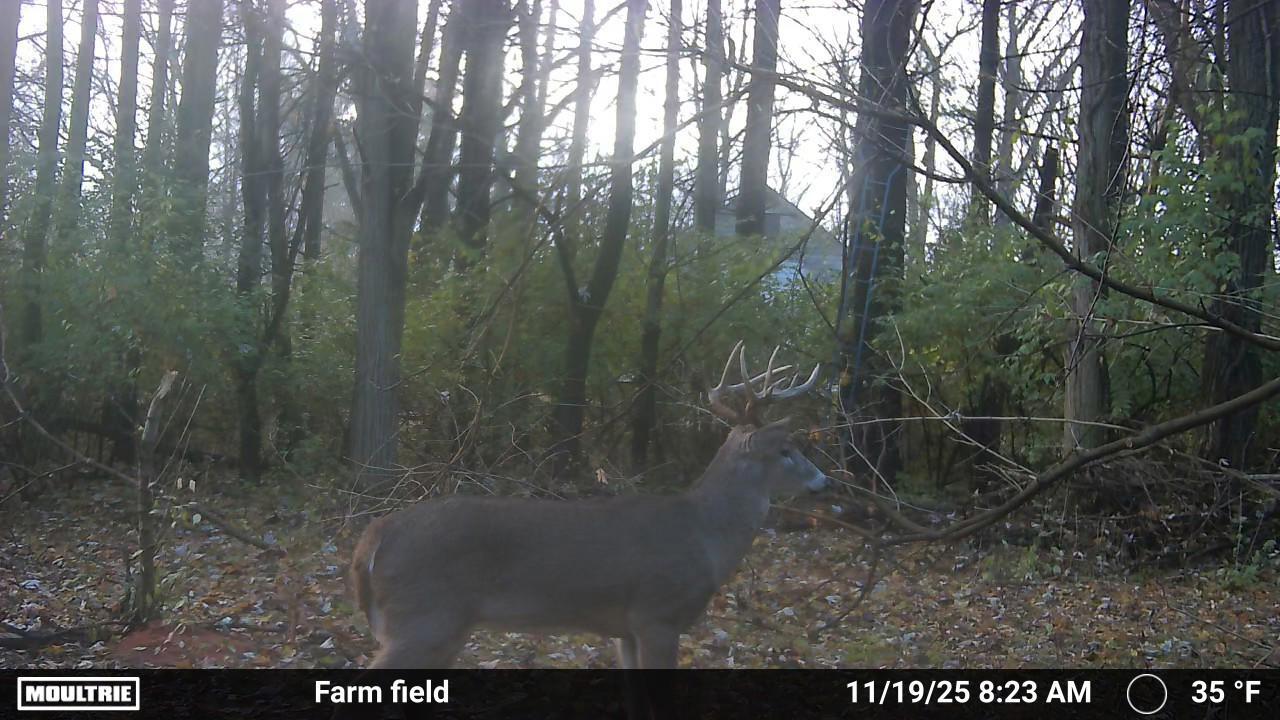 4004 Sintz Road, Springfield, Ohio 45504