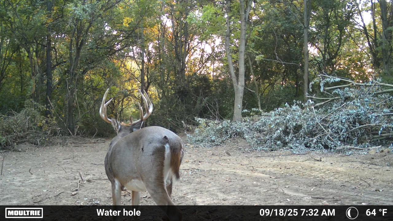 4004 Sintz Road, Springfield, Ohio 45504