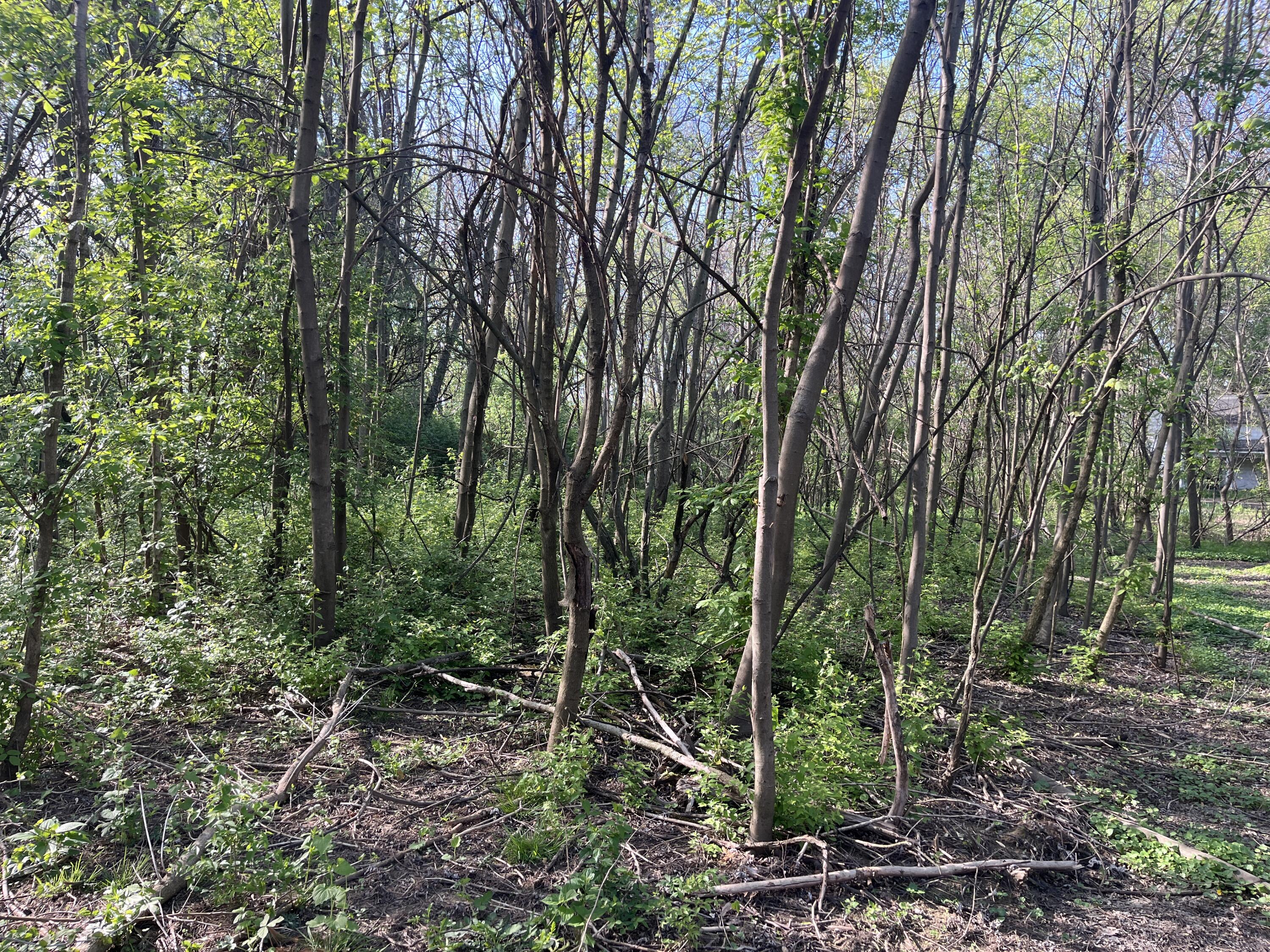 4004 Sintz Road, Springfield, Ohio 45504