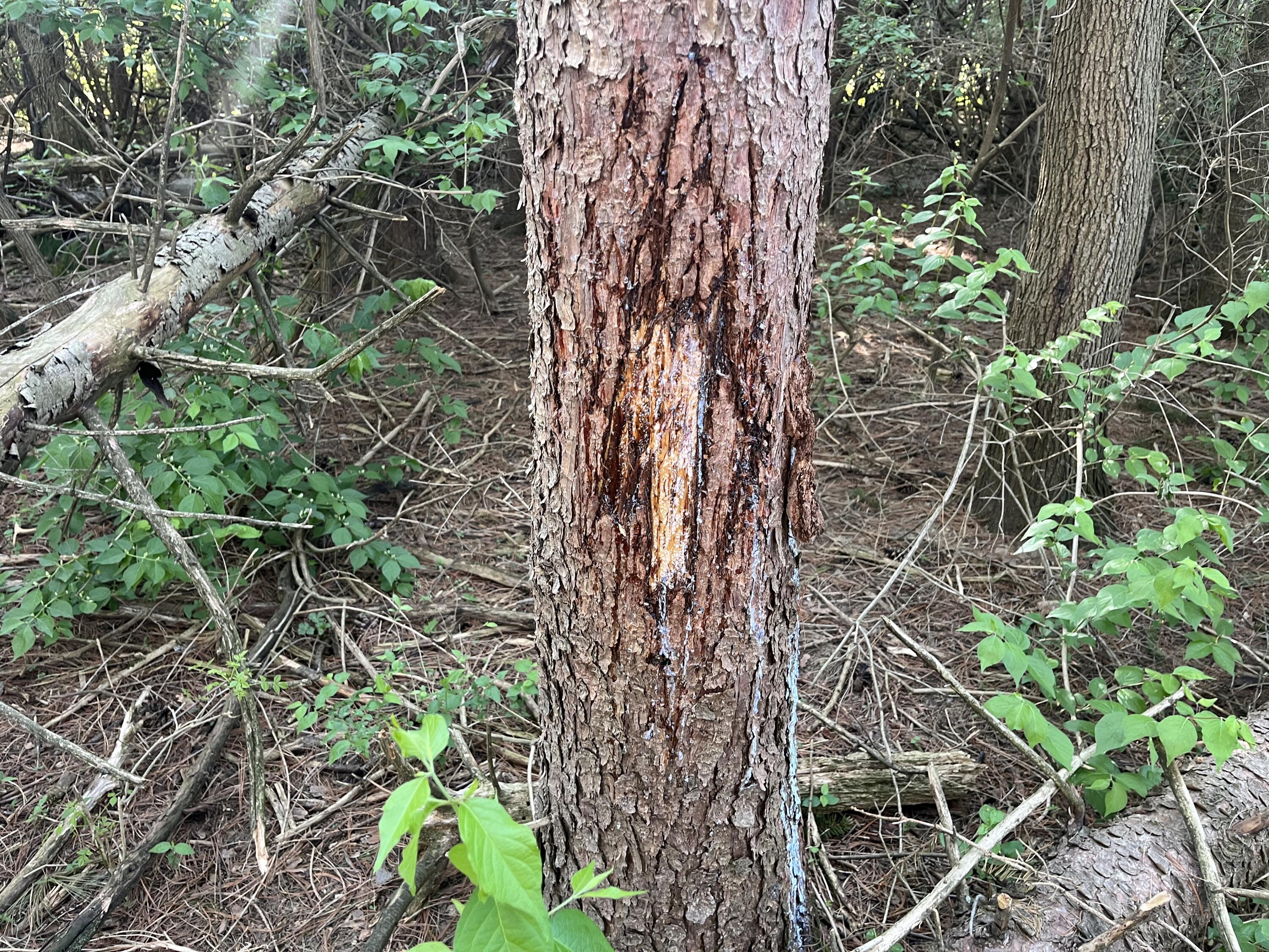 4004 Sintz Road, Springfield, Ohio 45504