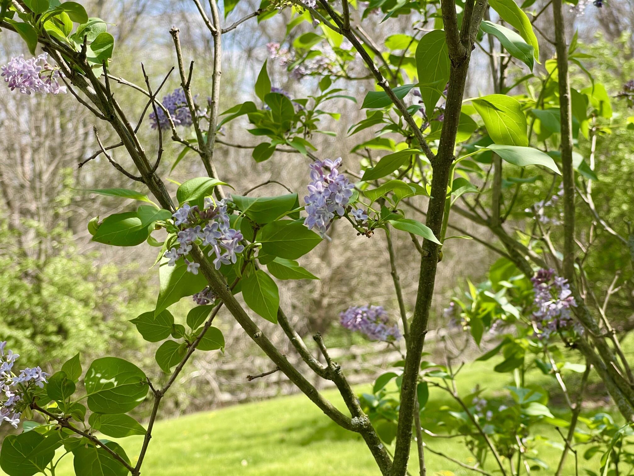 8050 Zimmerman Road, Saint Paris, Ohio 43072