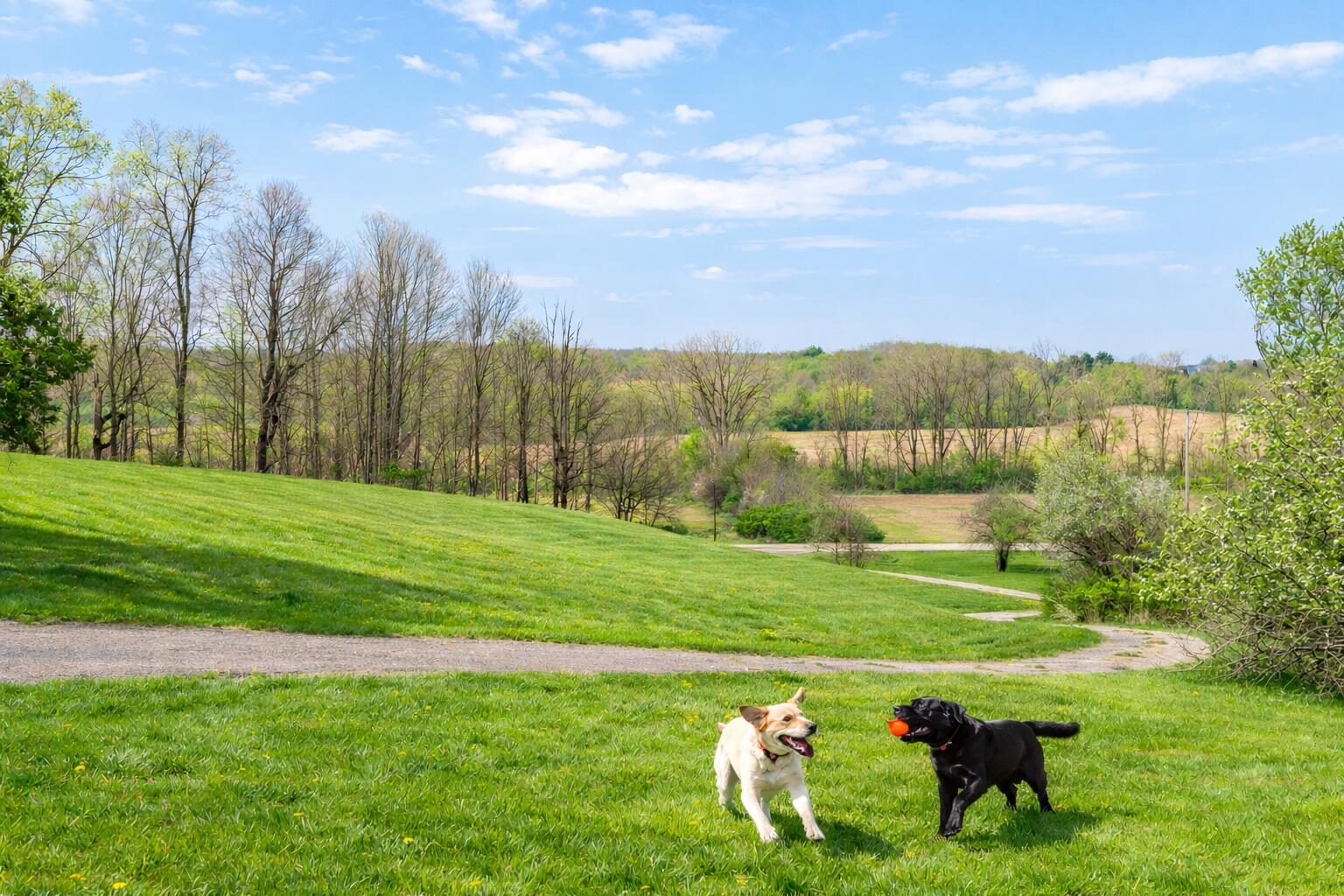 8050 Zimmerman Road, Saint Paris, Ohio 43072