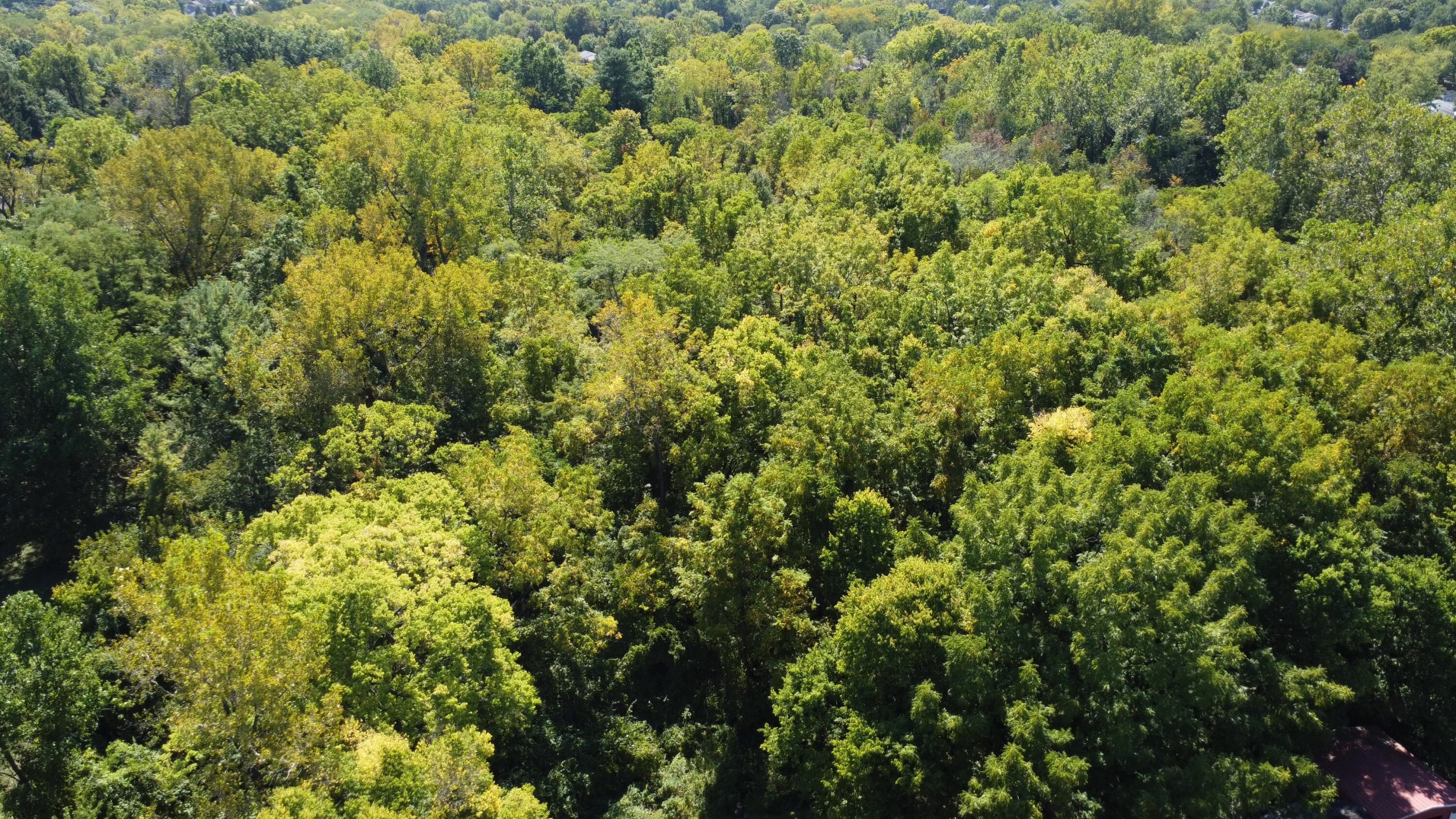 4400 Rainbrook Way, Dayton, Ohio 45424