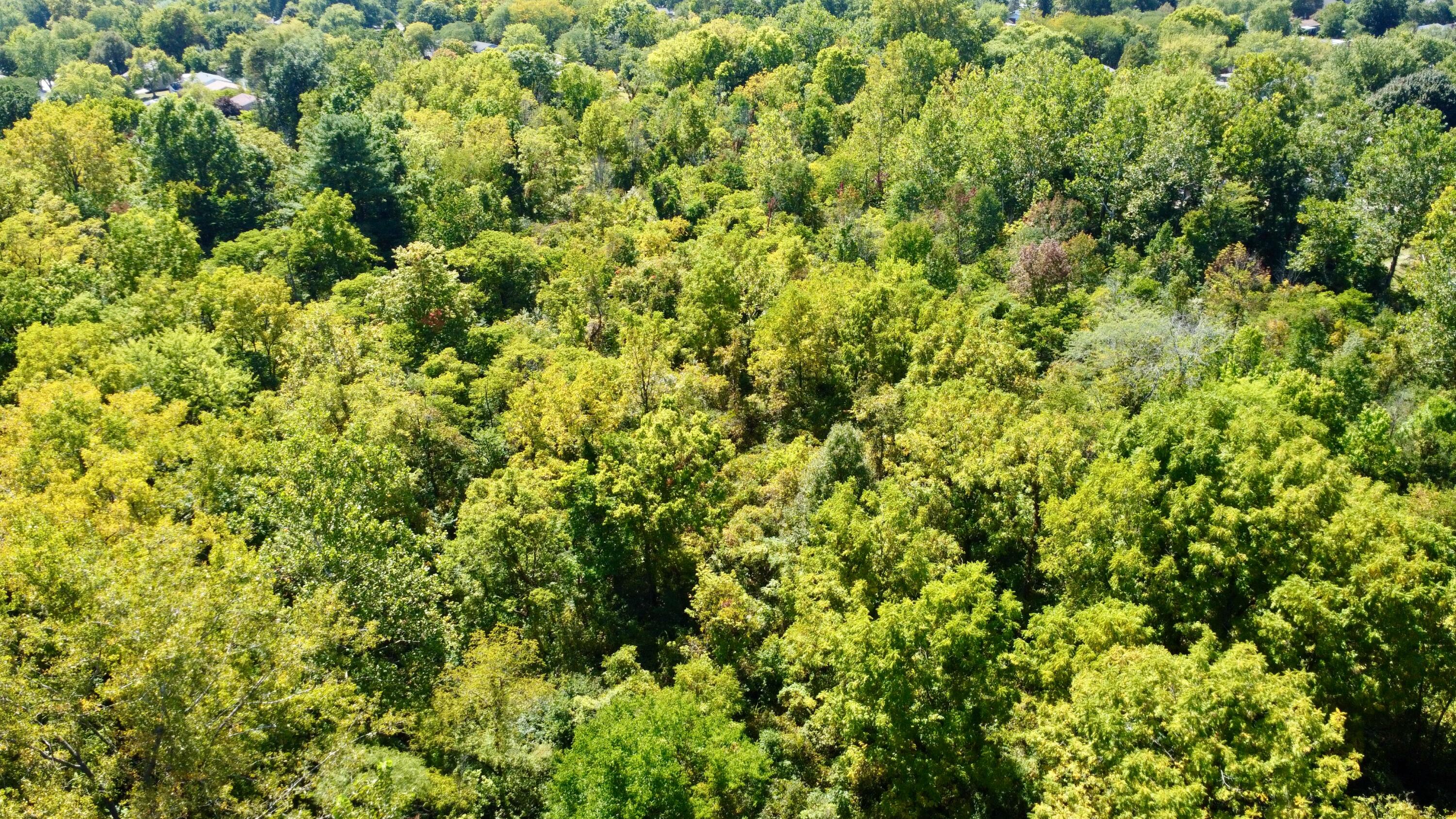 4400 Rainbrook Way, Dayton, Ohio 45424