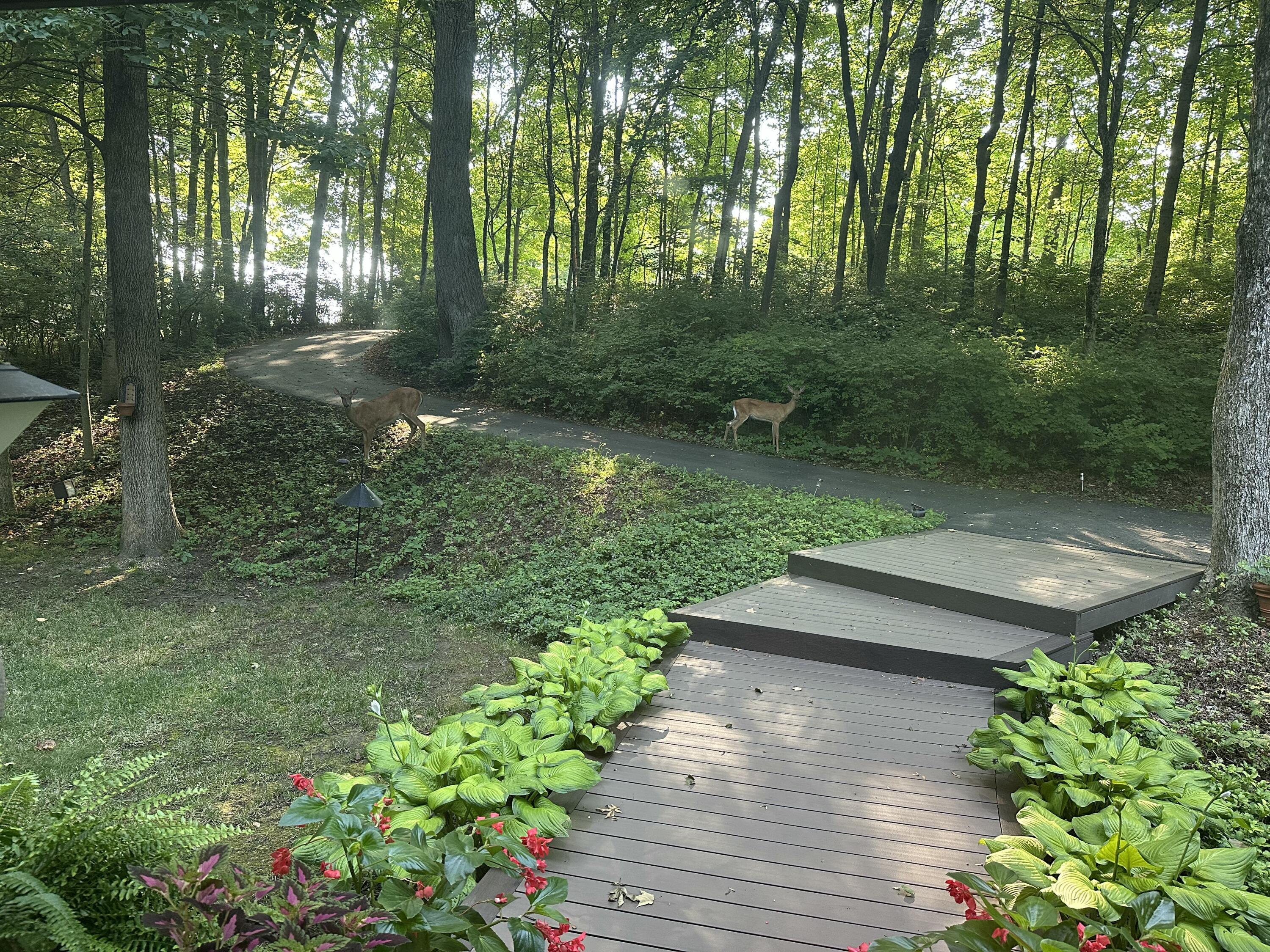 430 Leander Drive, Springfield, Ohio 45504