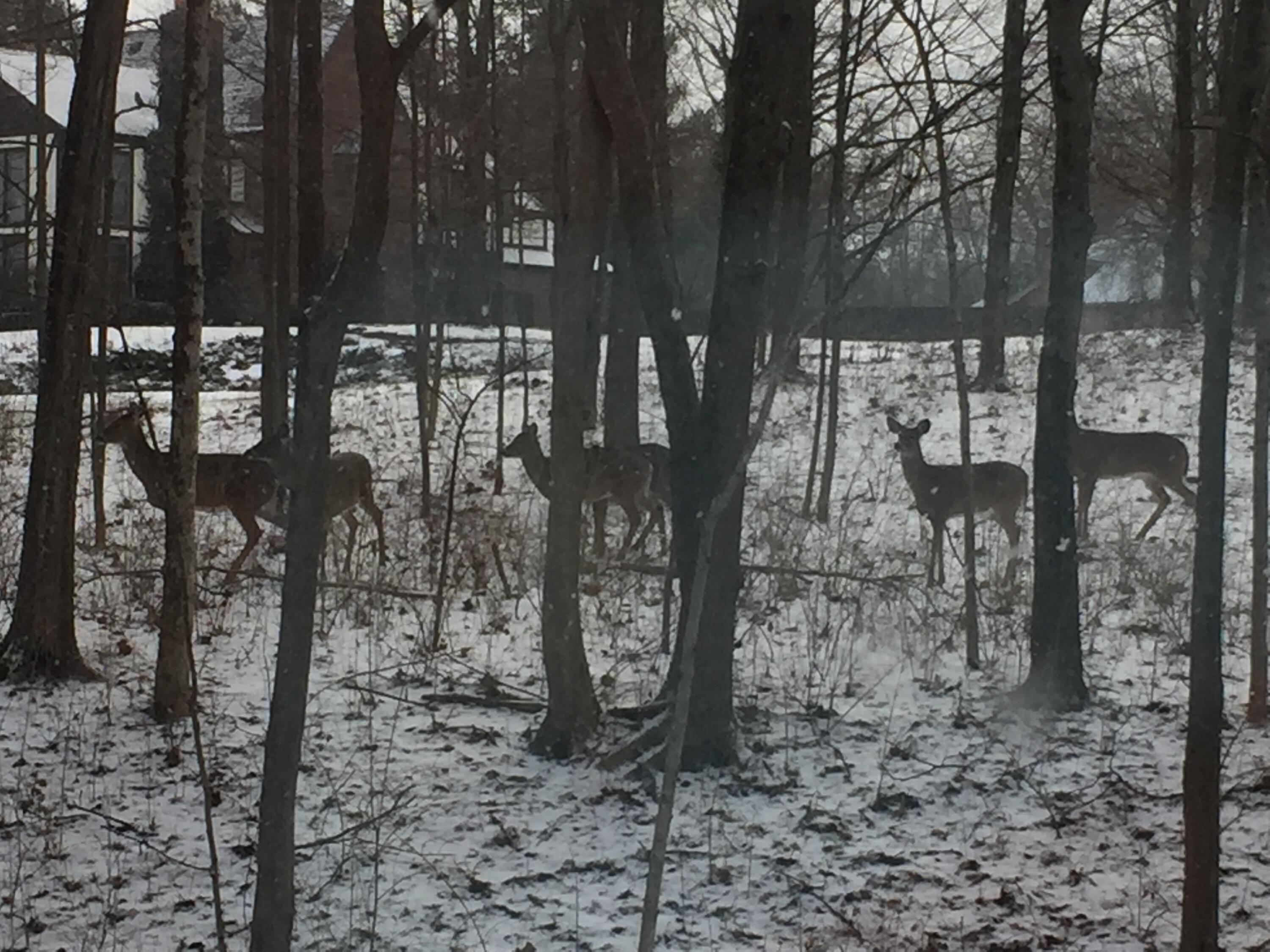 430 Leander Drive, Springfield, Ohio 45504