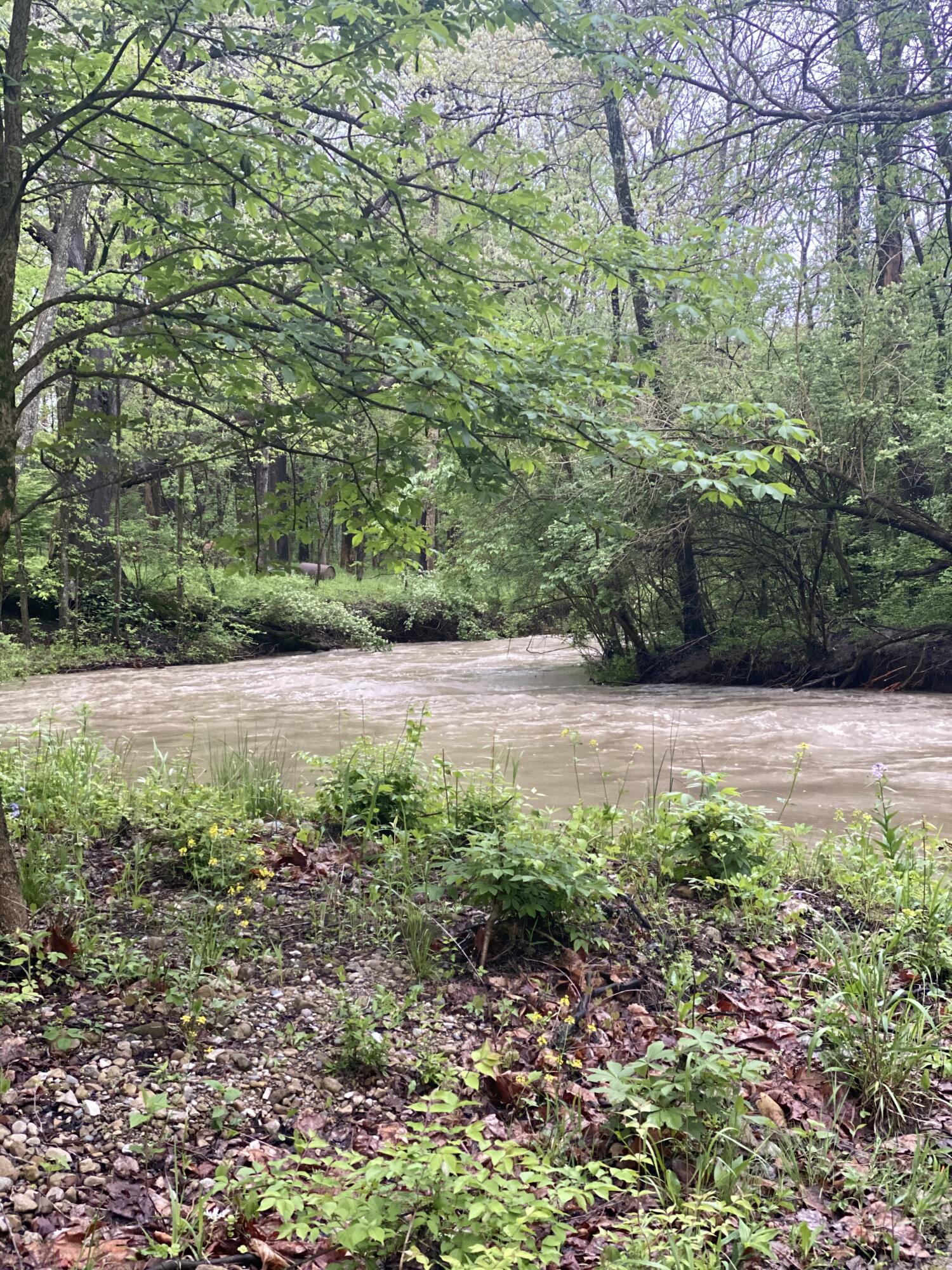 430 Leander Drive, Springfield, Ohio 45504