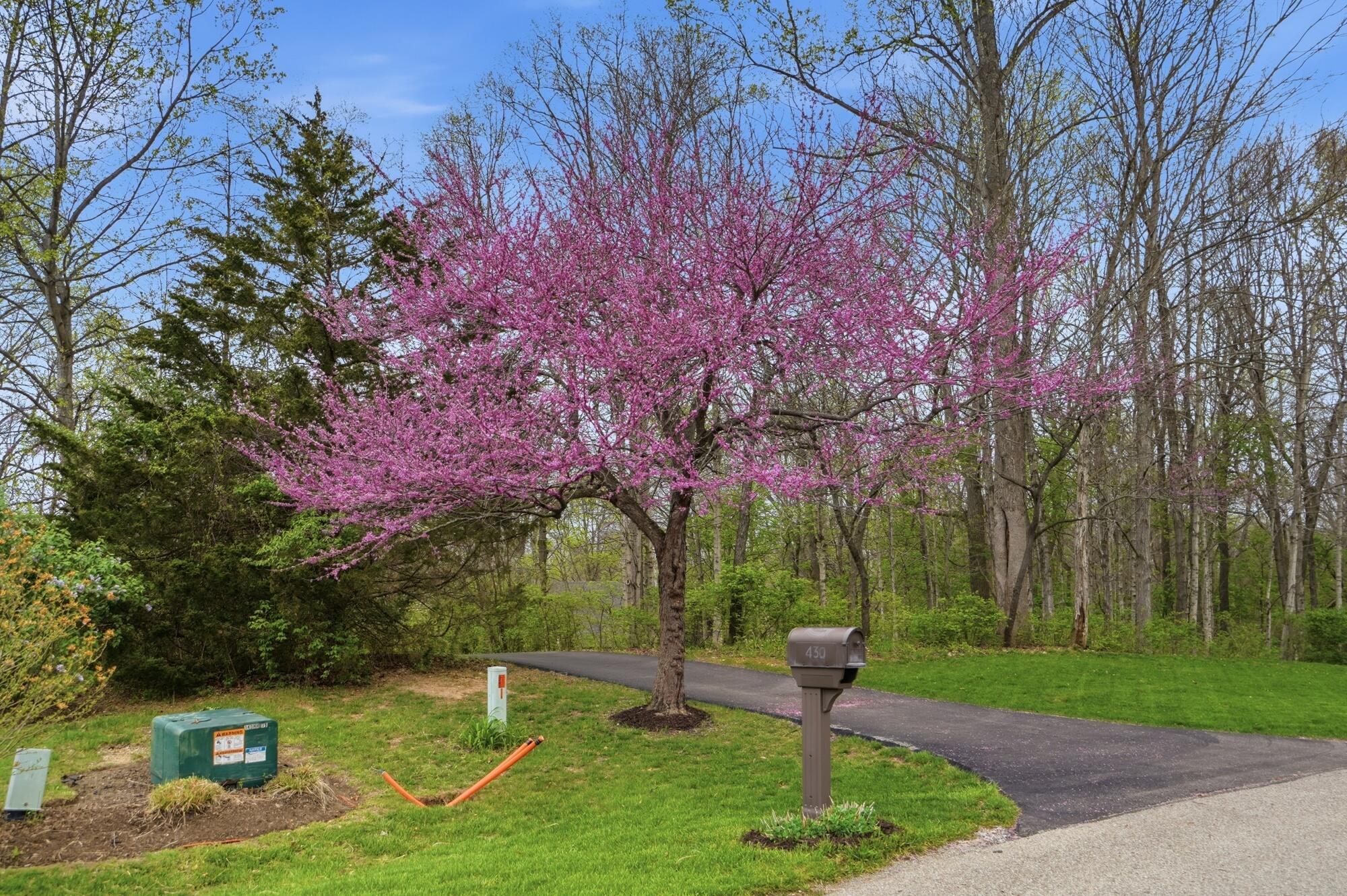 430 Leander Drive, Springfield, Ohio 45504