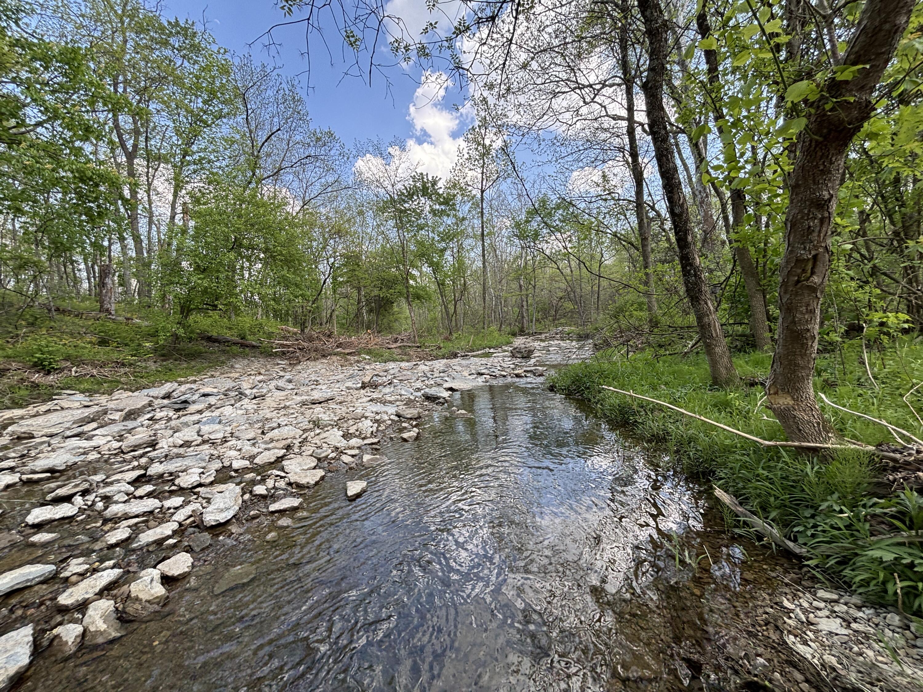 2471 Beechknoll Court, Centerville, Ohio 45458