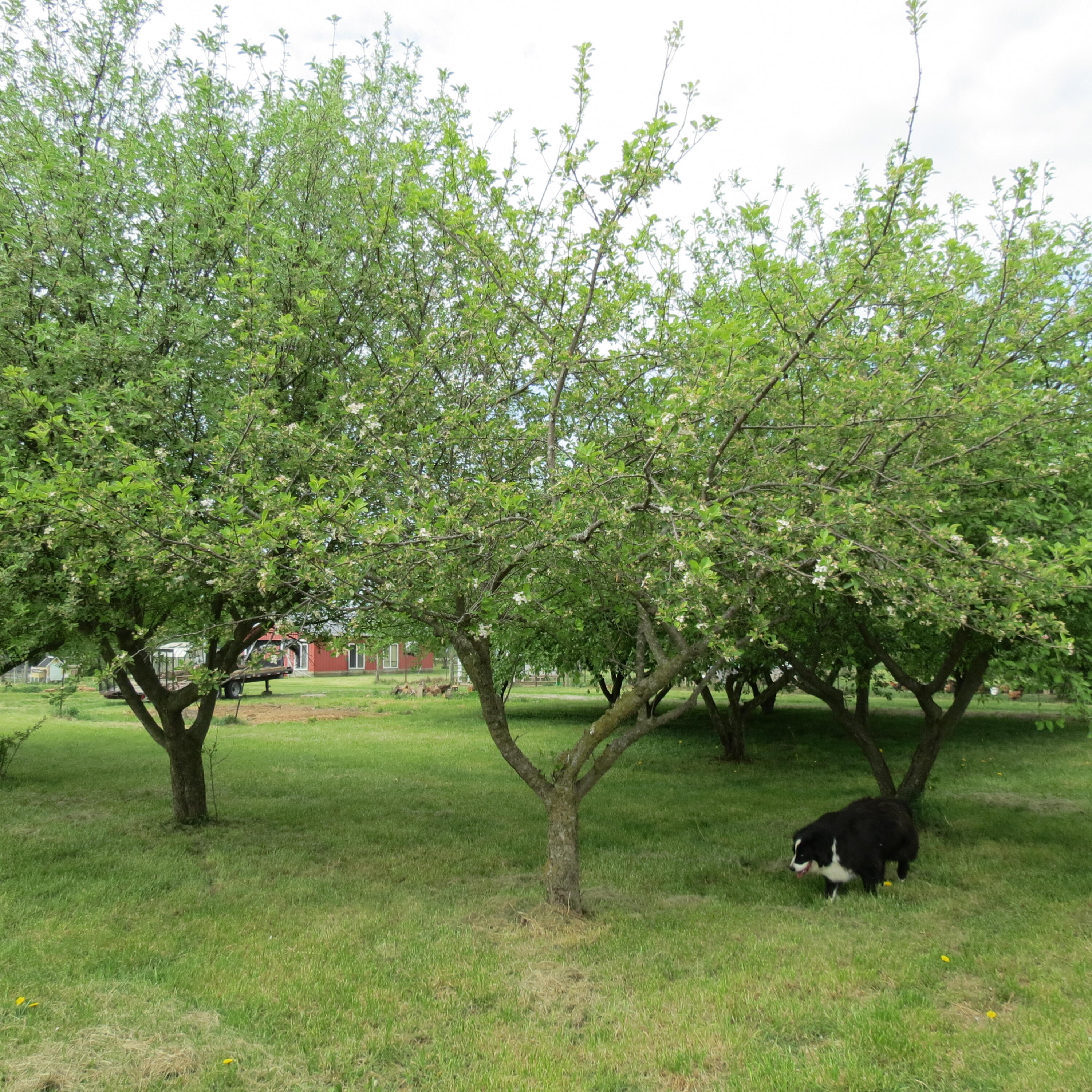 4367 St Rt 29, Sidney, Ohio 45365