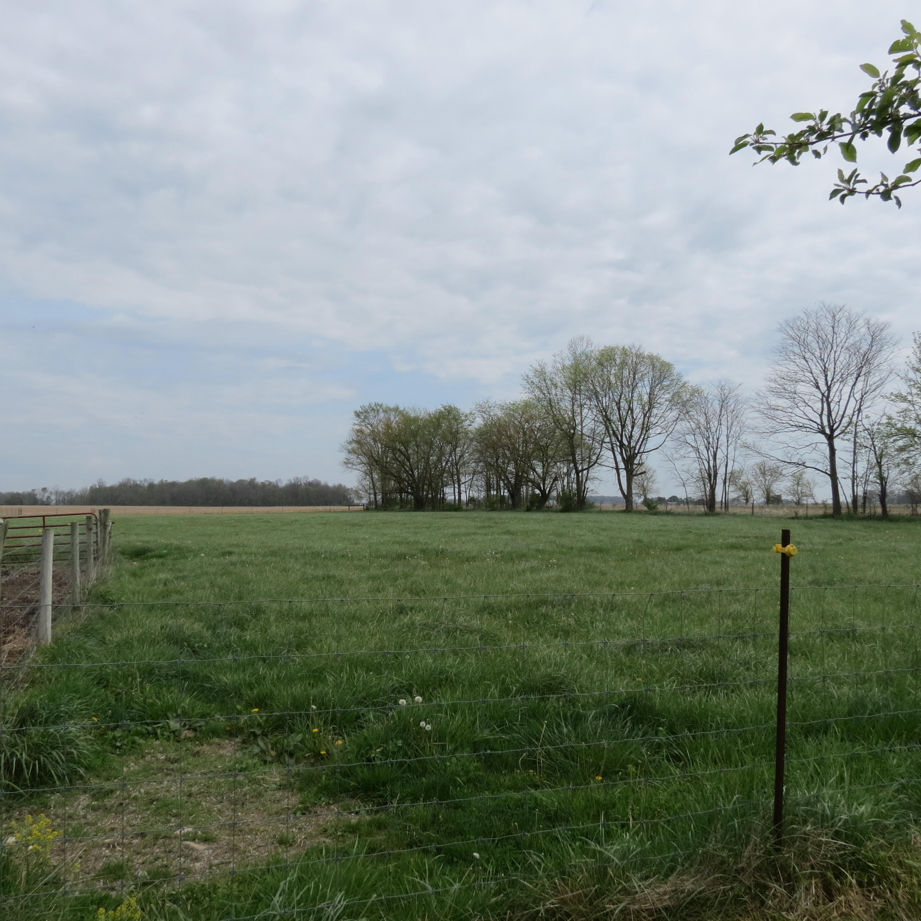 4367 St Rt 29, Sidney, Ohio 45365