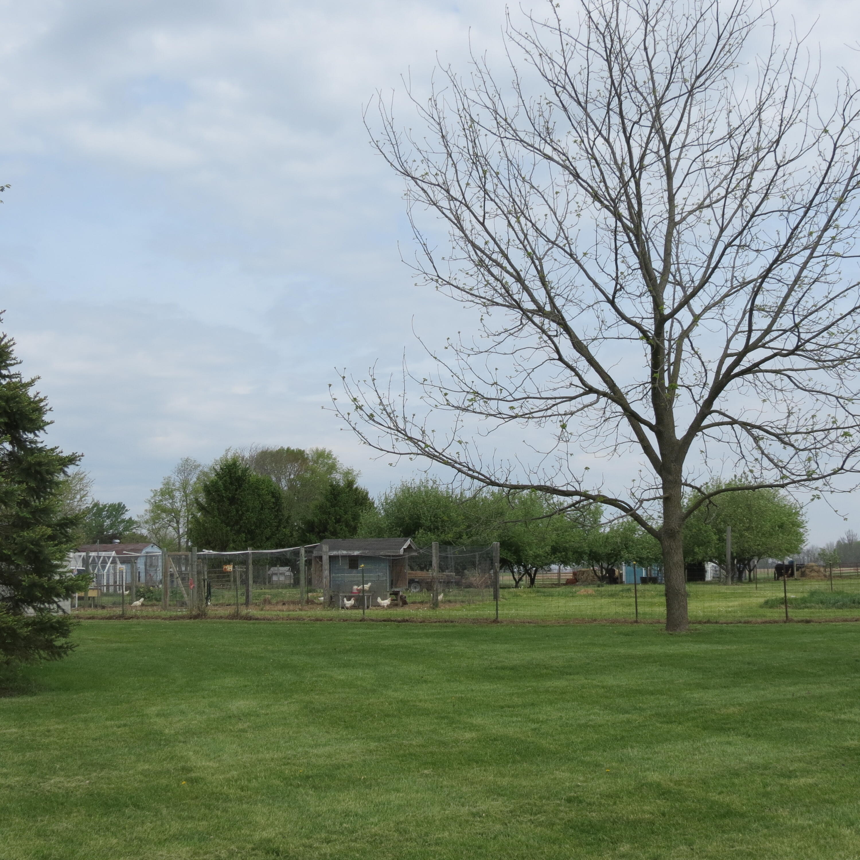 4367 St Rt 29, Sidney, Ohio 45365