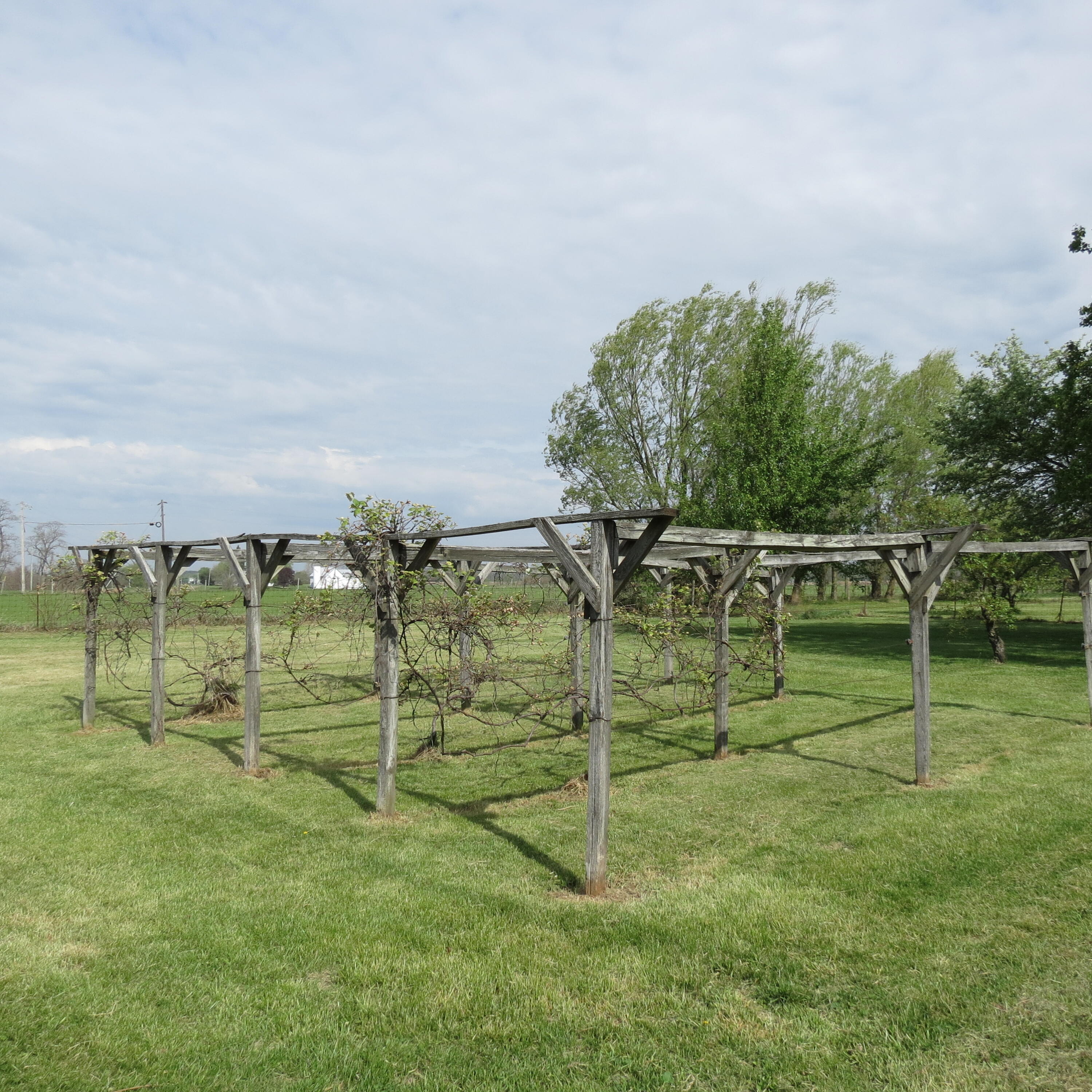 4367 St Rt 29, Sidney, Ohio 45365