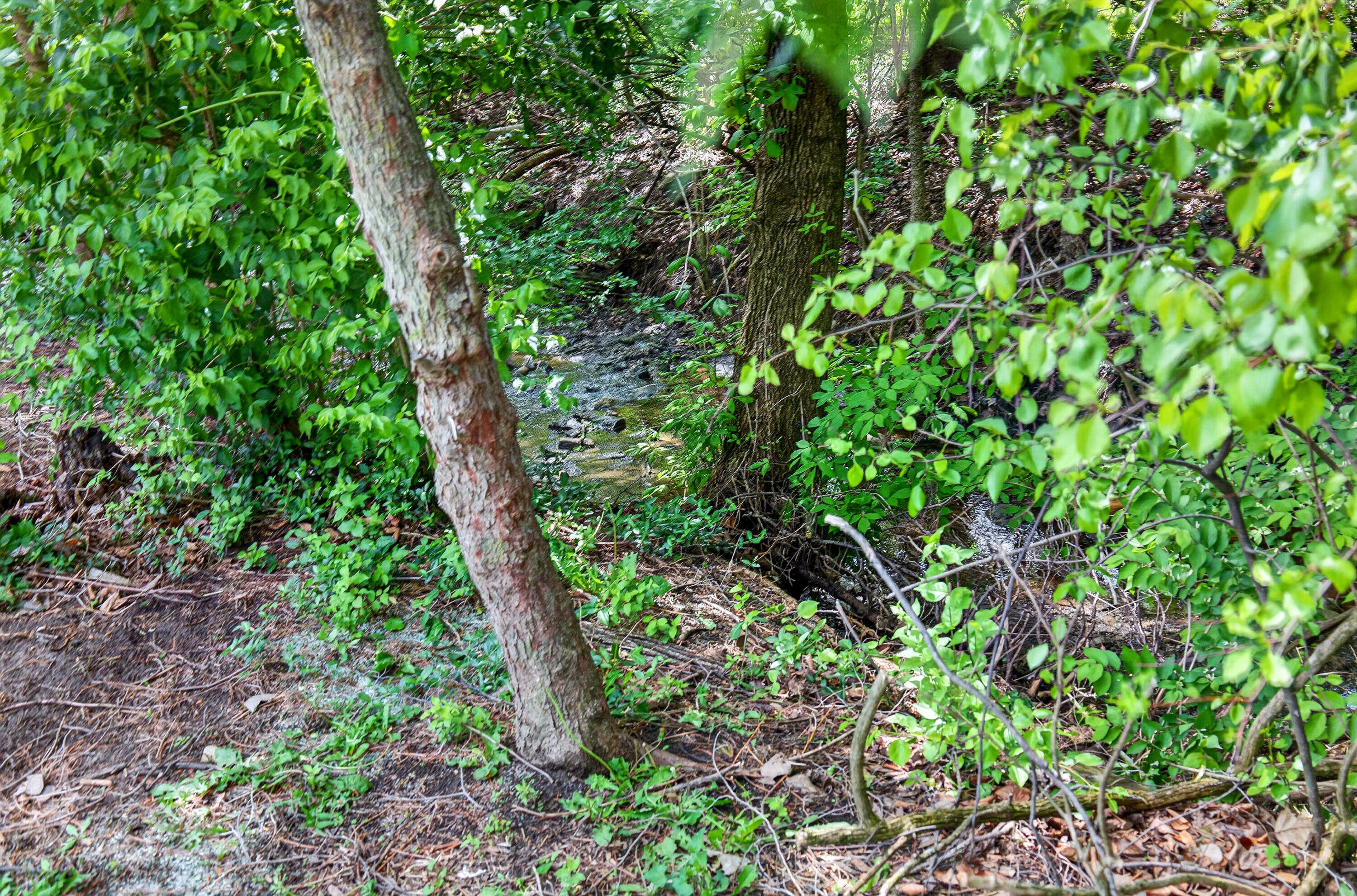 1001 Park Street, Bellefontaine, Ohio 43311