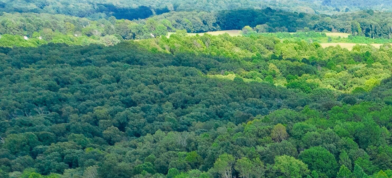 0 Derry Lane Road, Wilkesville Township, Ohio 45695
