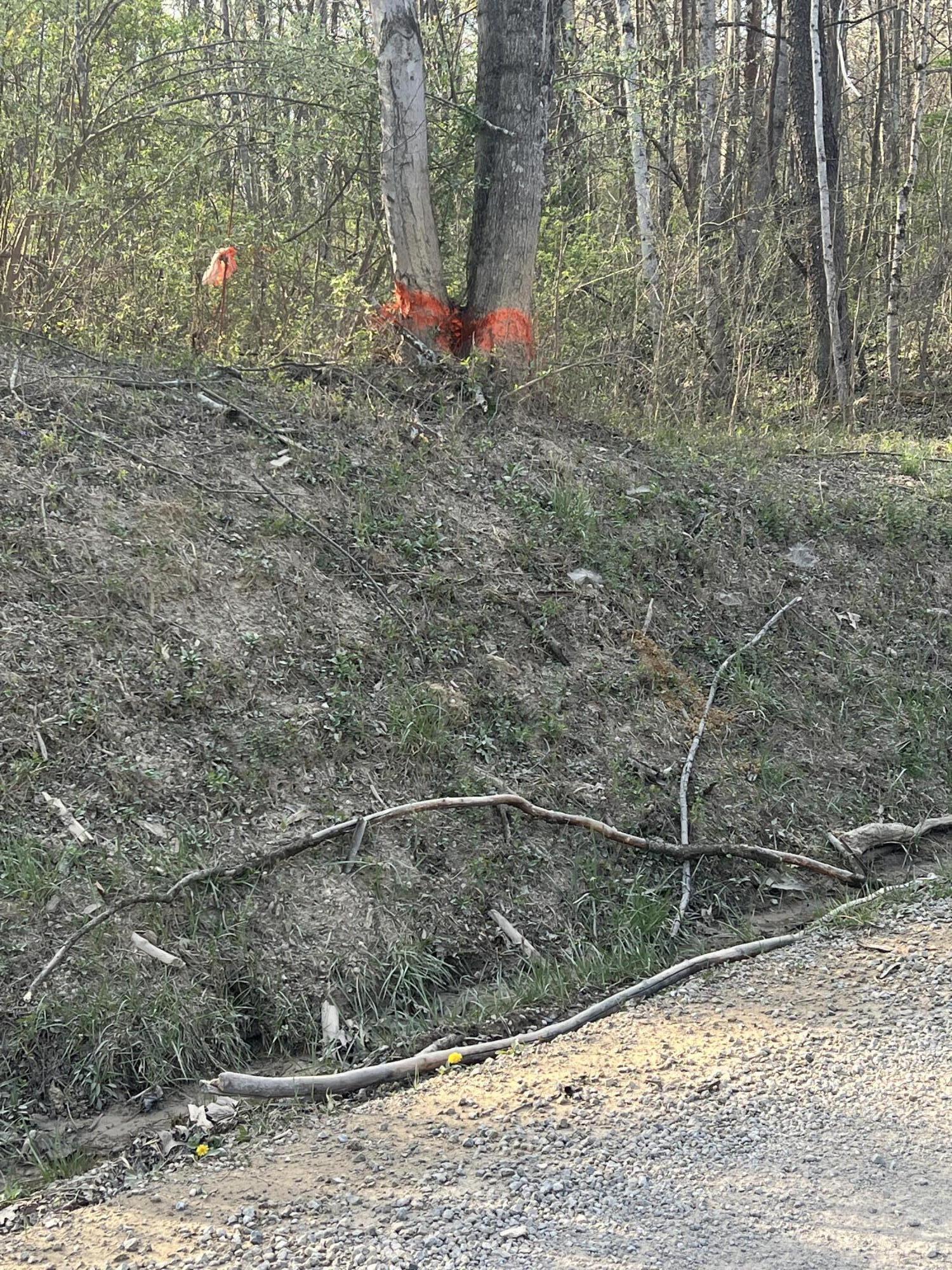 0 Derry Lane Road, Wilkesville Township, Ohio 45695