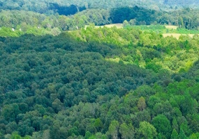 0 Derry Lane Road, Wilkesville Township, Ohio 45695, ,Land,For Sale,Derry Lane,1045299