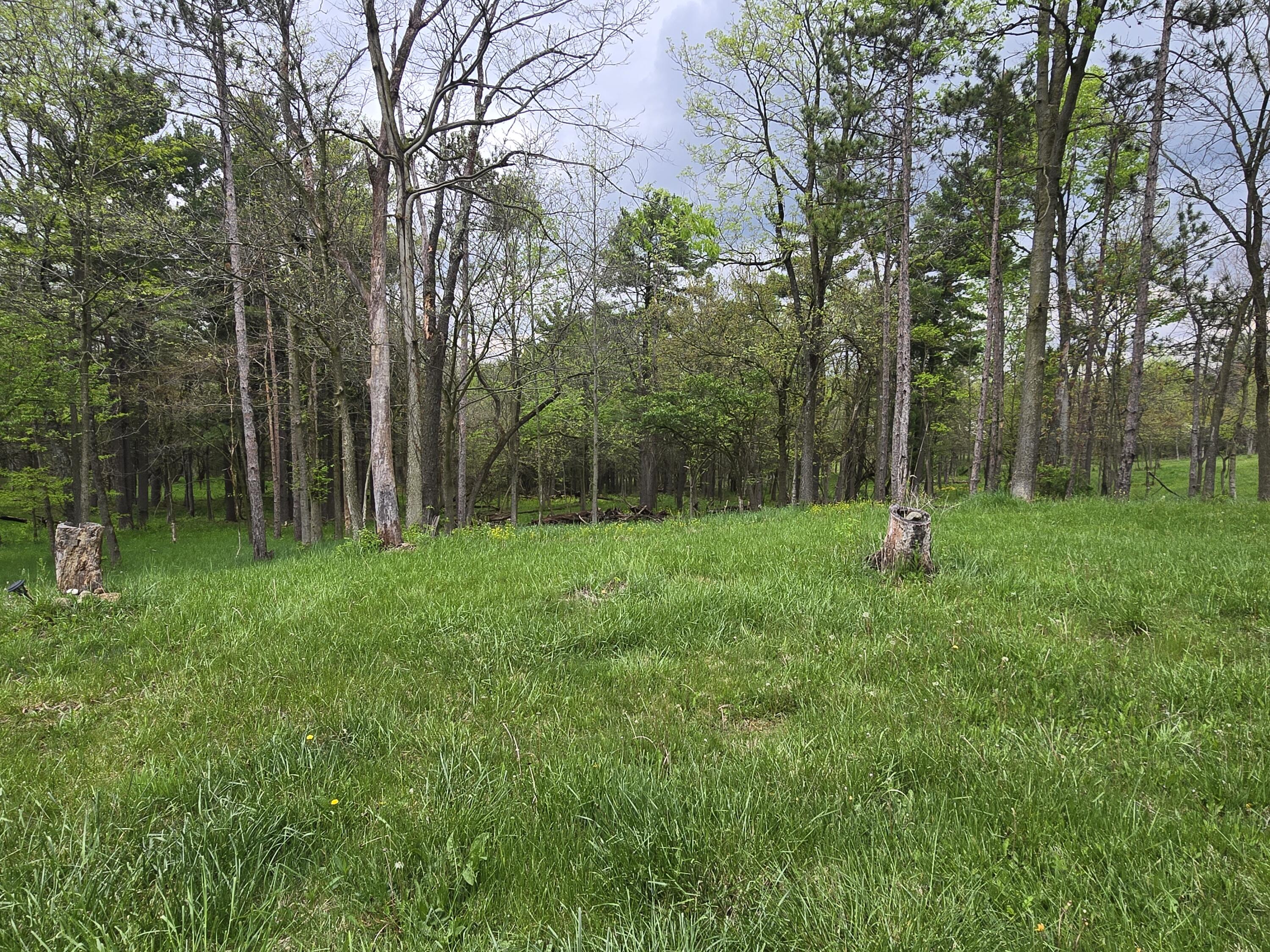 6499 County Road 10, Zanesfield, Ohio 43360