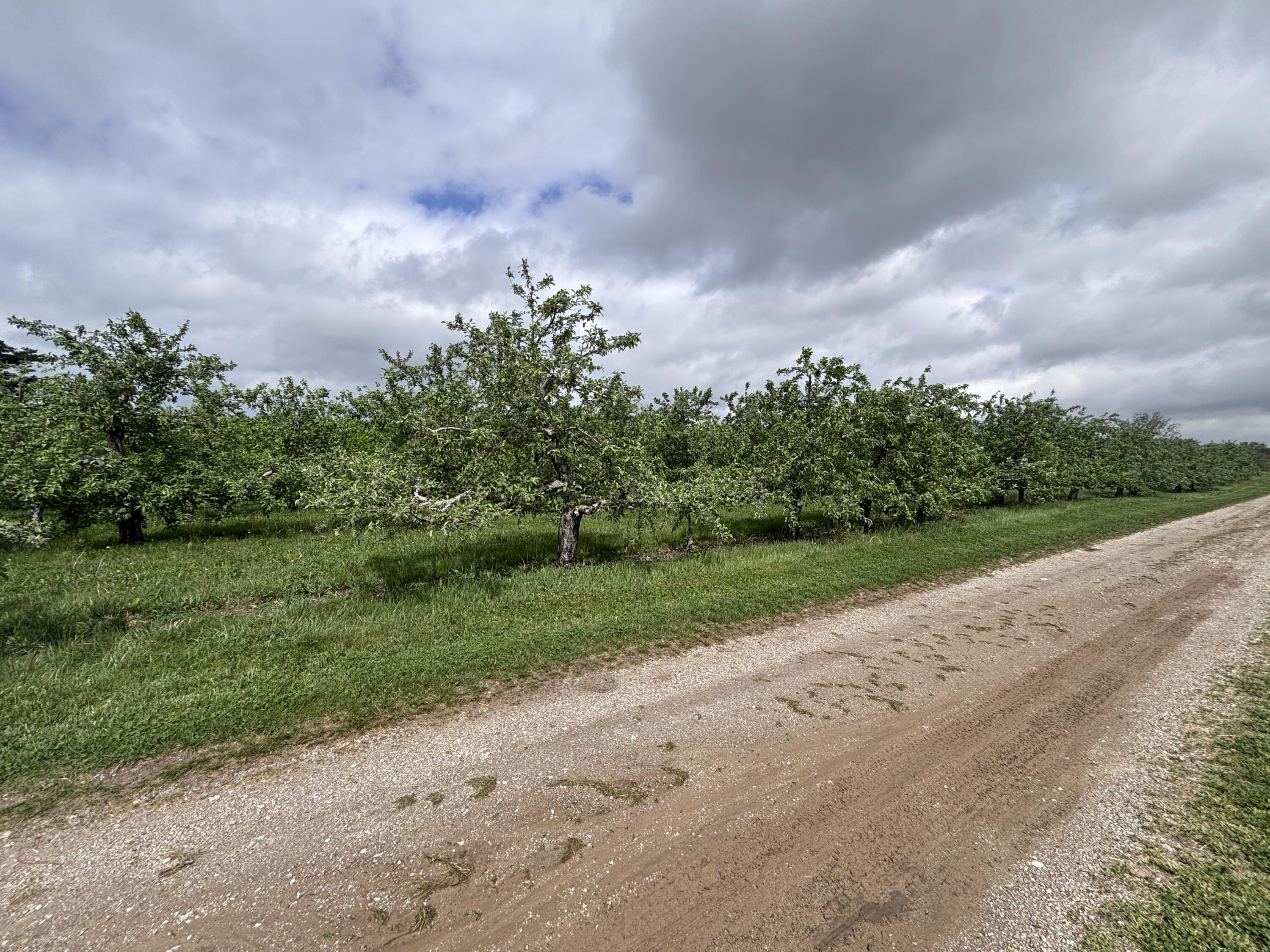 9319 Wesler Road, New Paris, Ohio 45347