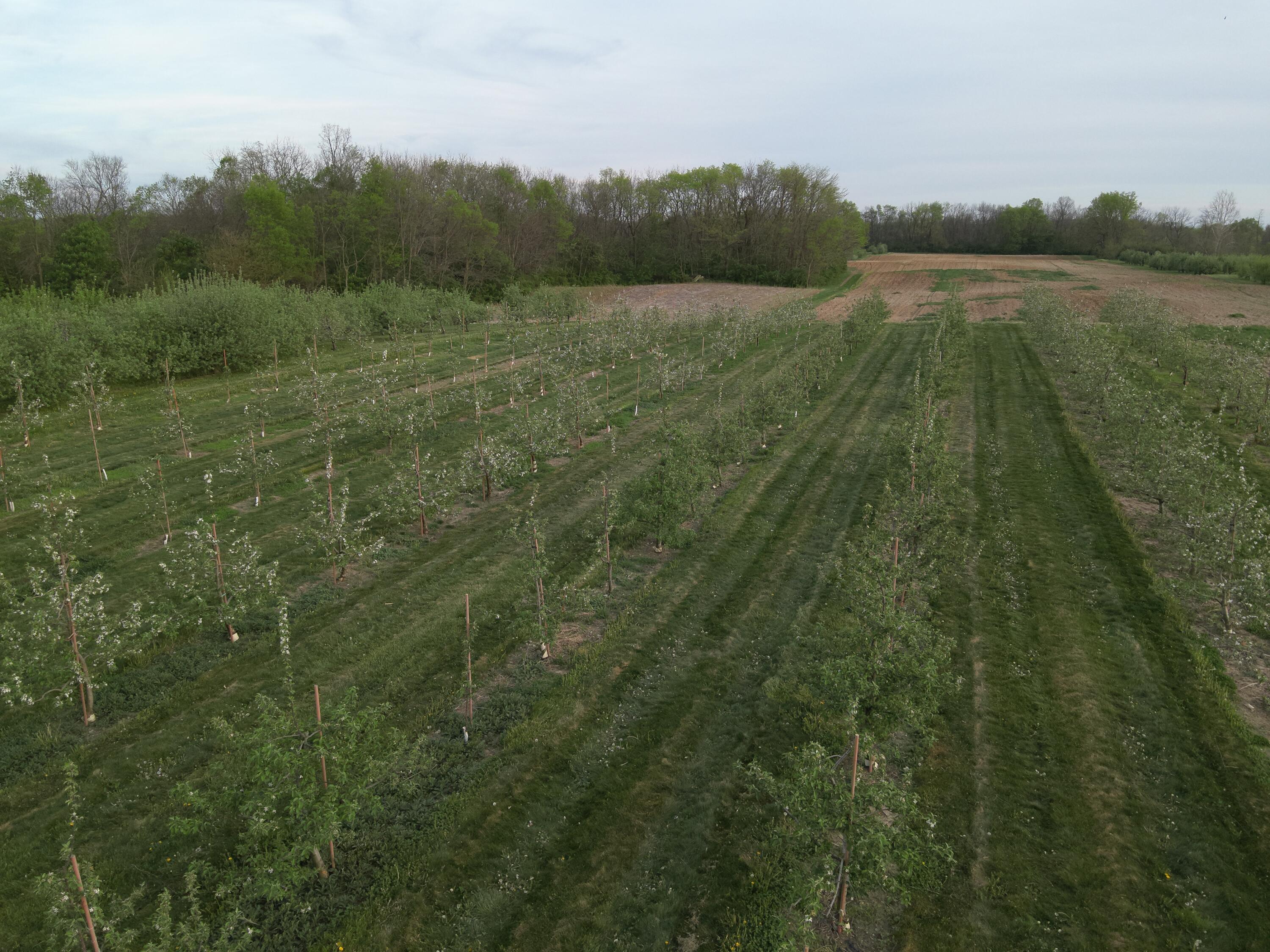 9319 Wesler Road, New Paris, Ohio 45347